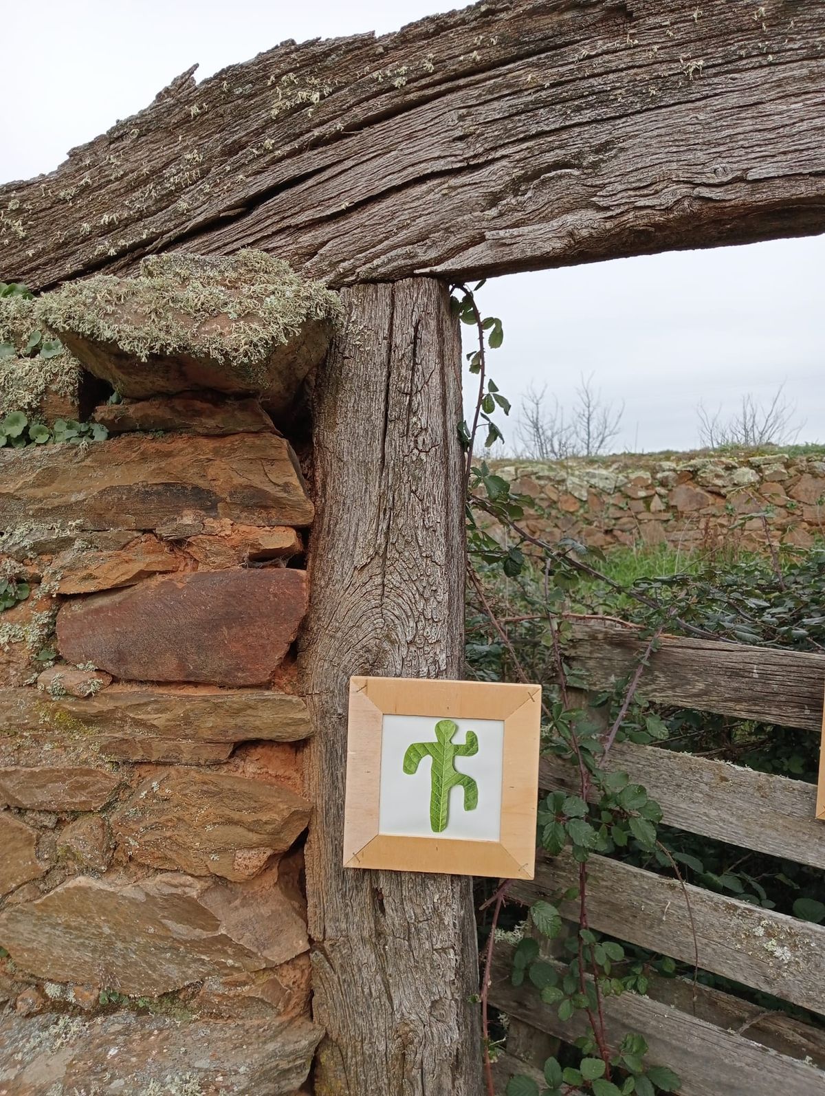La exposición «Naturaleza» llega a Tejadinos