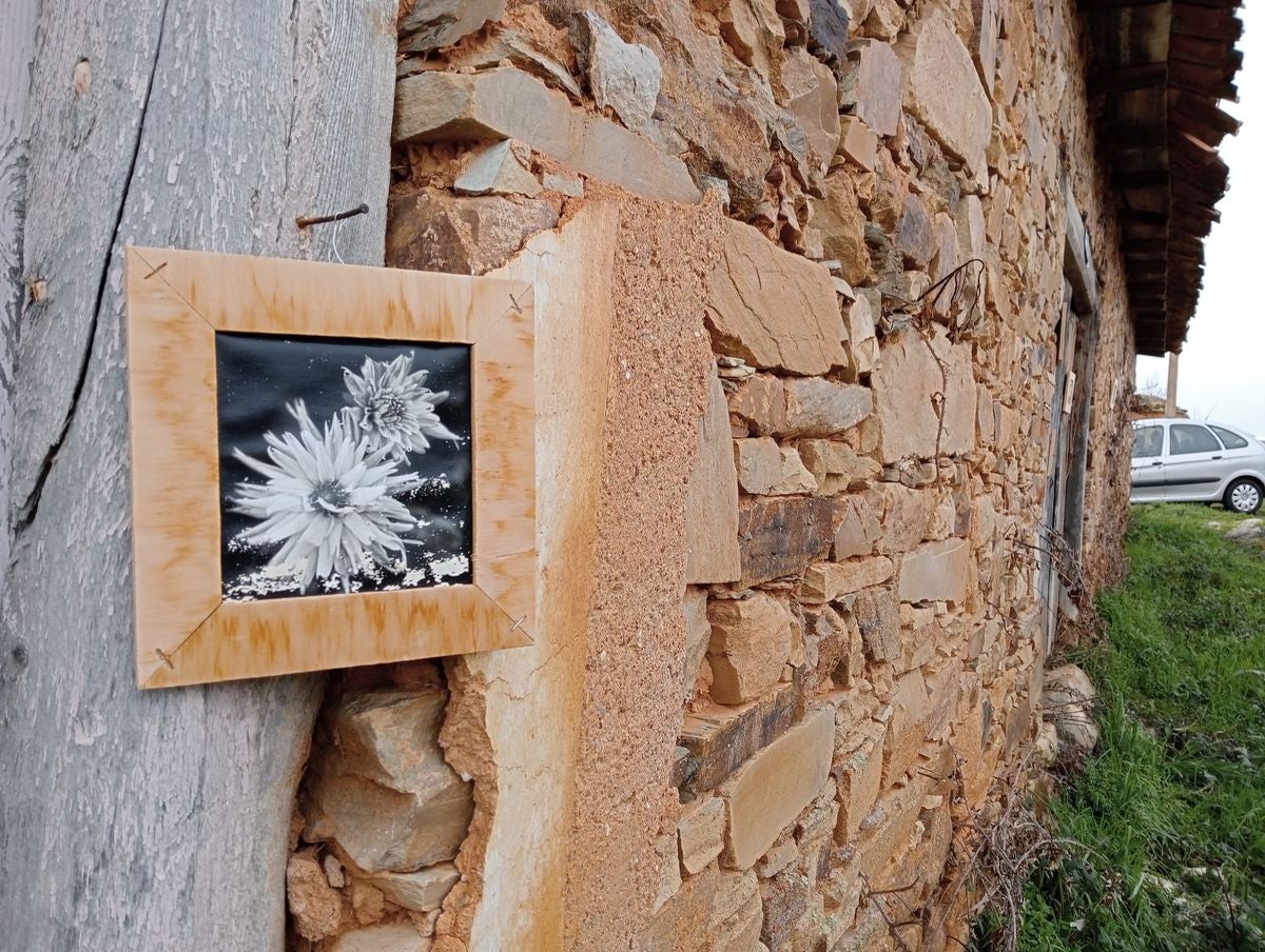 La exposición «Naturaleza» llega a Tejadinos