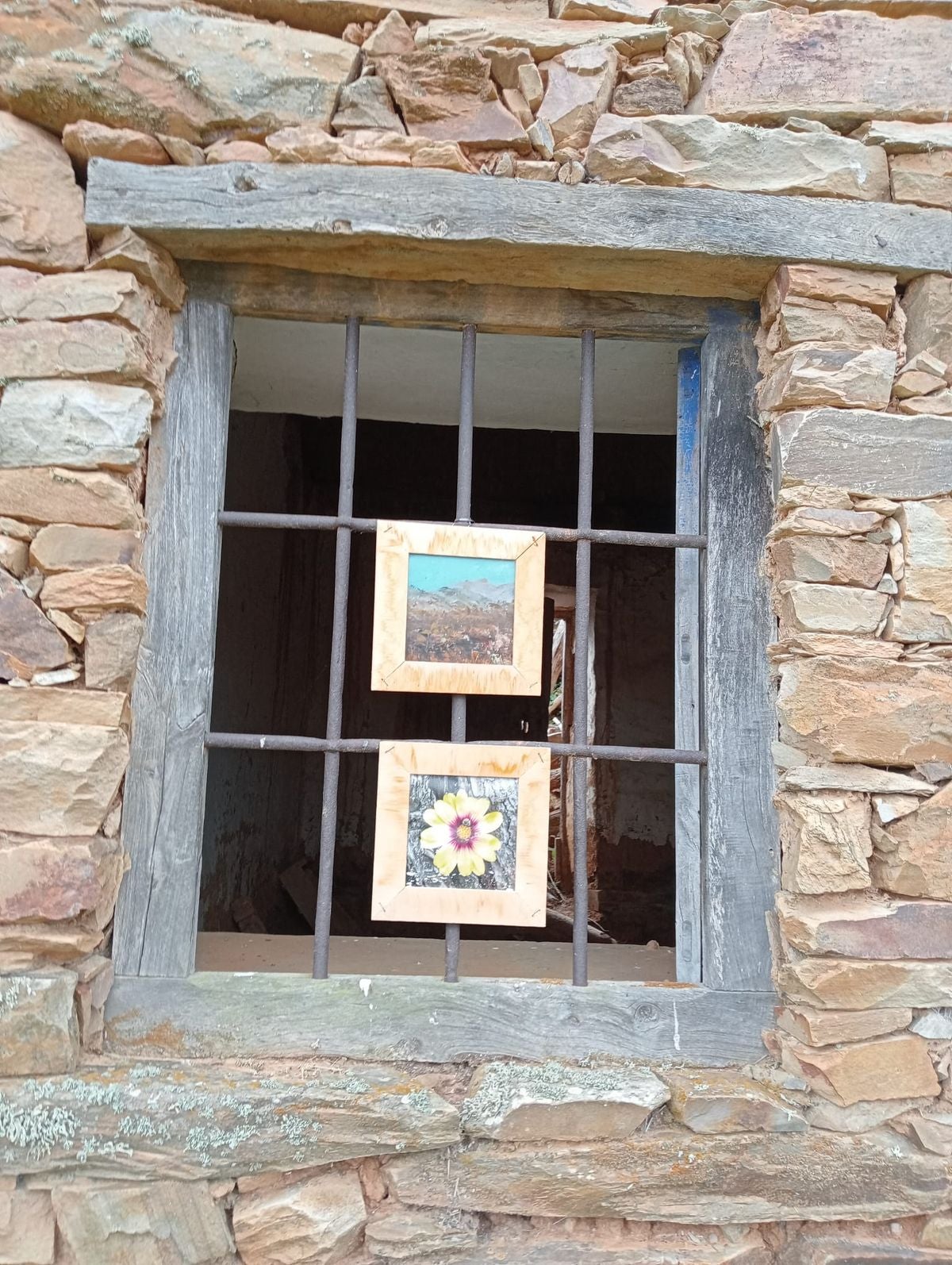 La exposición «Naturaleza» llega a Tejadinos
