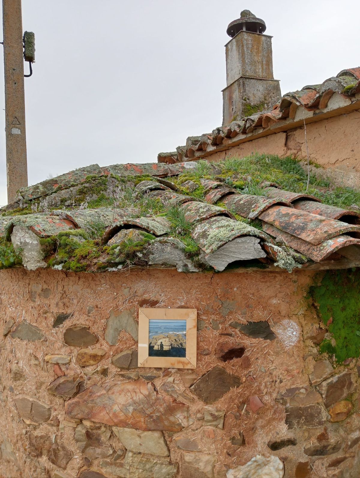La exposición «Naturaleza» llega a Tejadinos