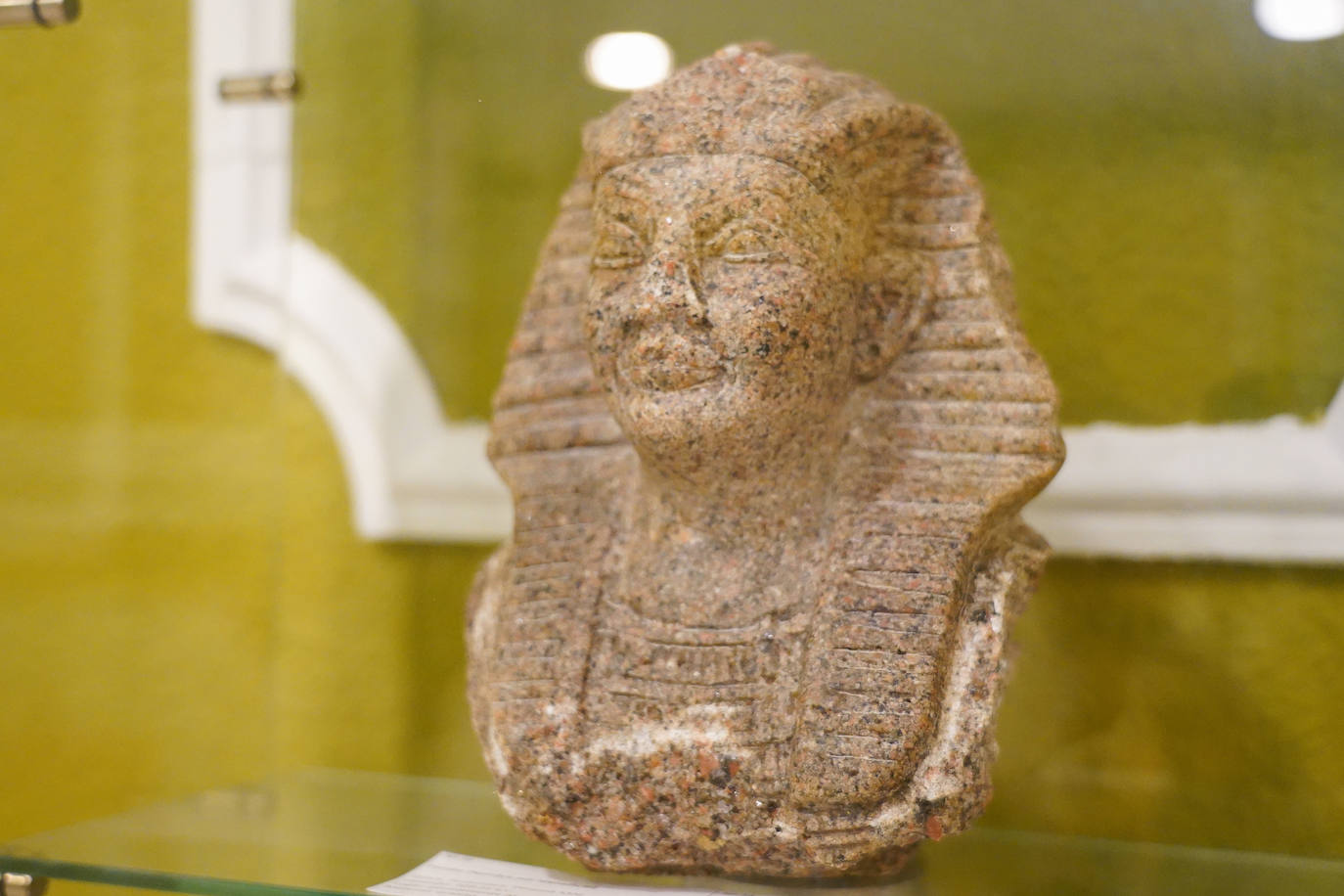 Décimo aniversario del Museo Egipcio de León