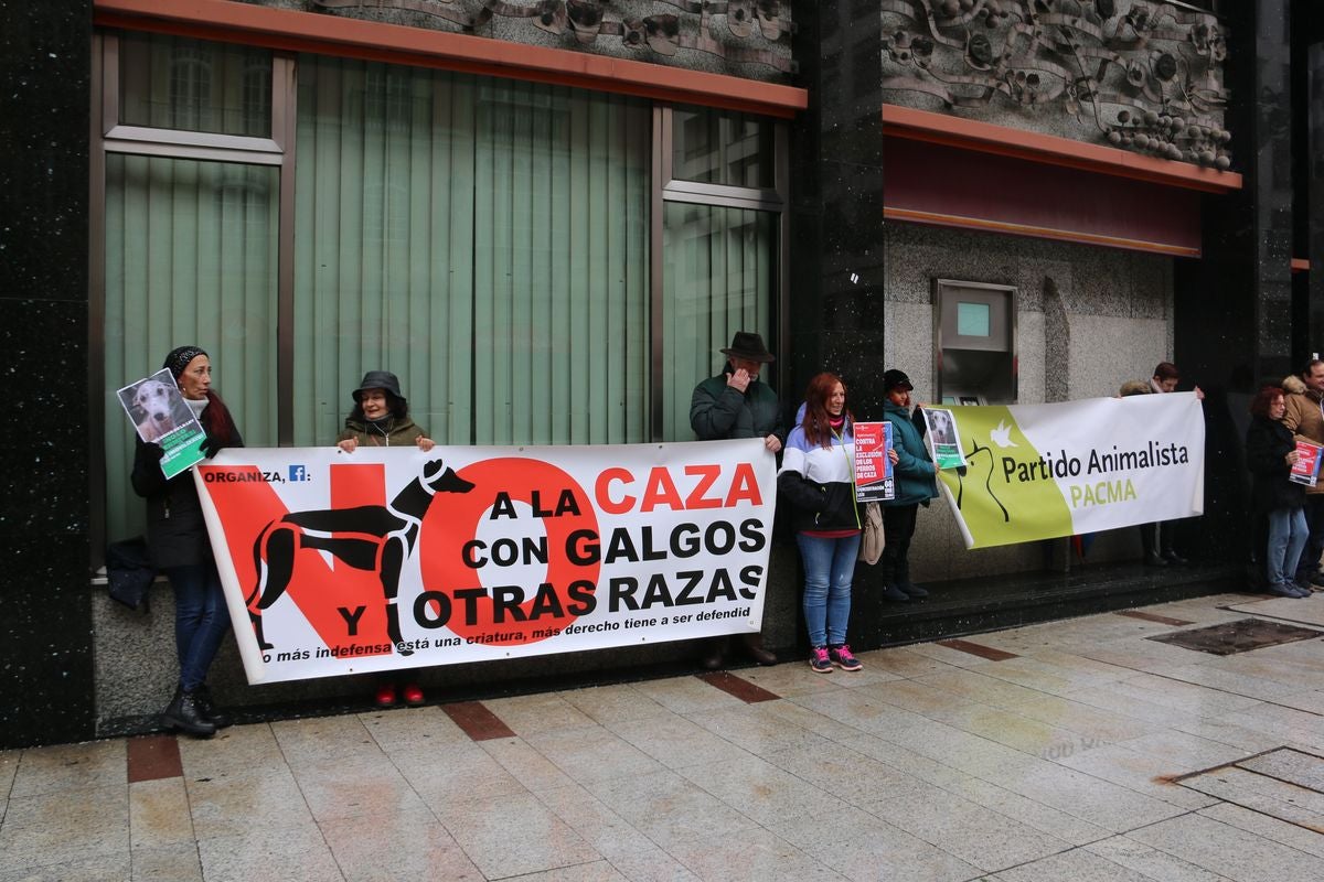 Pacma León se ha concentrado este domingo frente a las puertas del Ayuntamiento de León para exigir al Gobierno un cambio en la ley de protección animal.