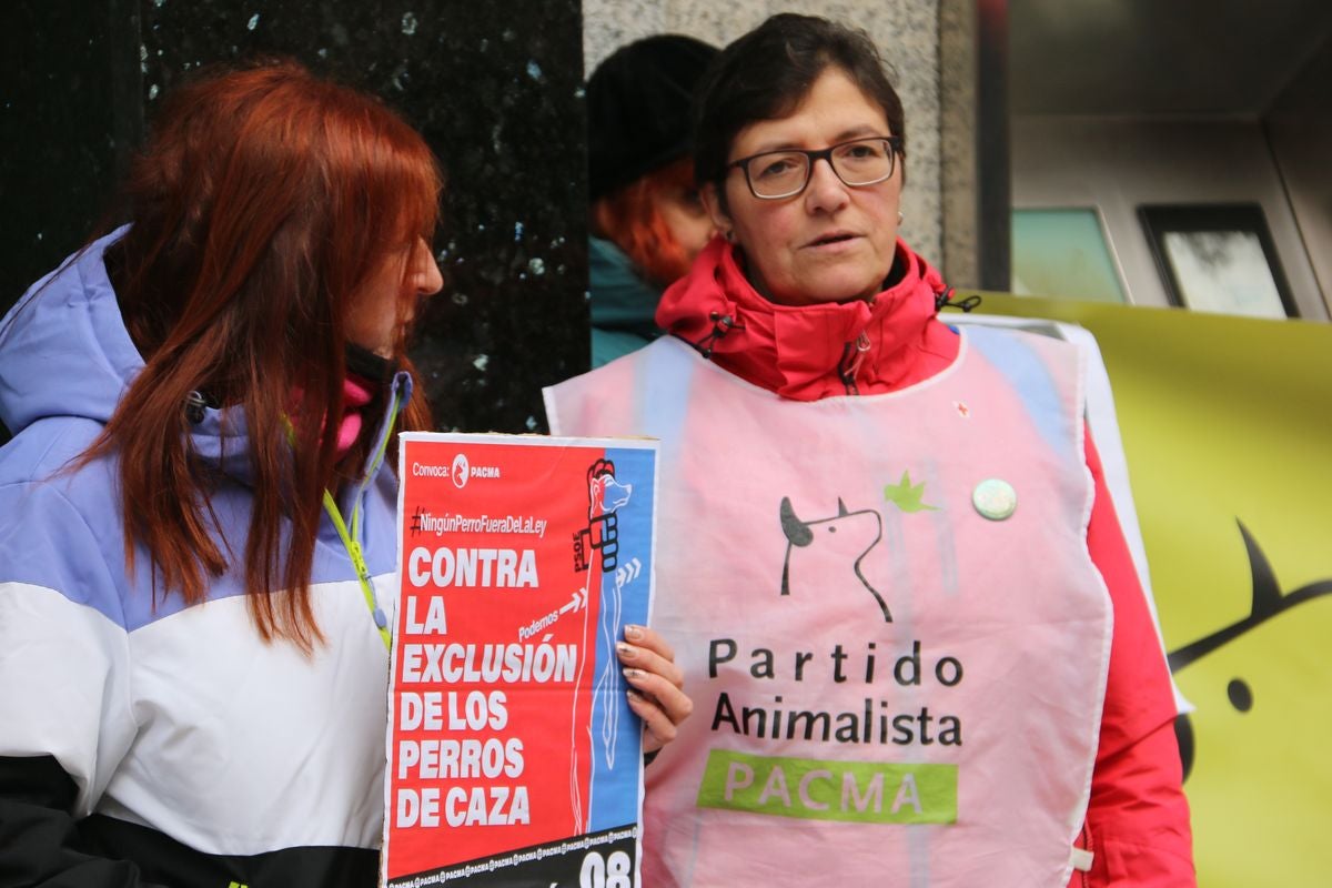 Pacma León se ha concentrado este domingo frente a las puertas del Ayuntamiento de León para exigir al Gobierno un cambio en la ley de protección animal.