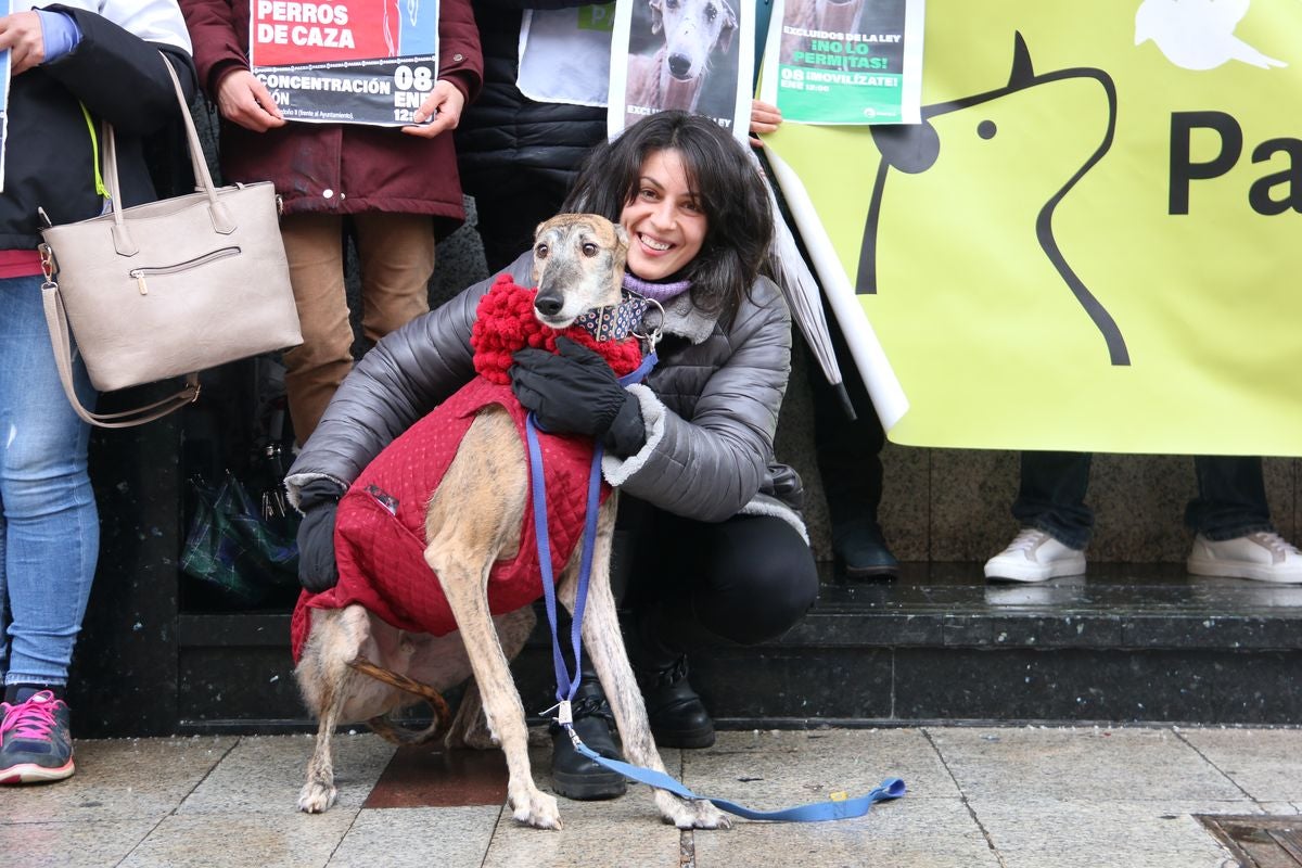 Pacma León se ha concentrado este domingo frente a las puertas del Ayuntamiento de León para exigir al Gobierno un cambio en la ley de protección animal.