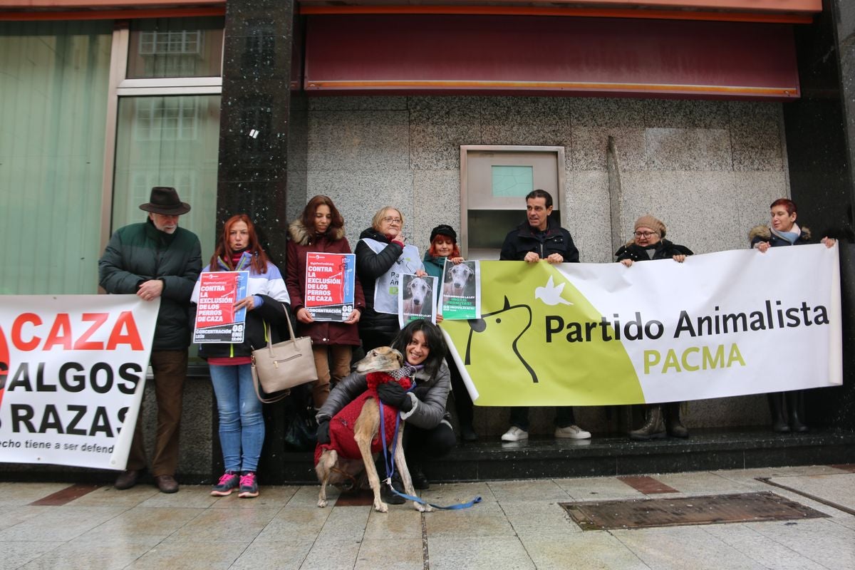 Pacma León se ha concentrado este domingo frente a las puertas del Ayuntamiento de León para exigir al Gobierno un cambio en la ley de protección animal.