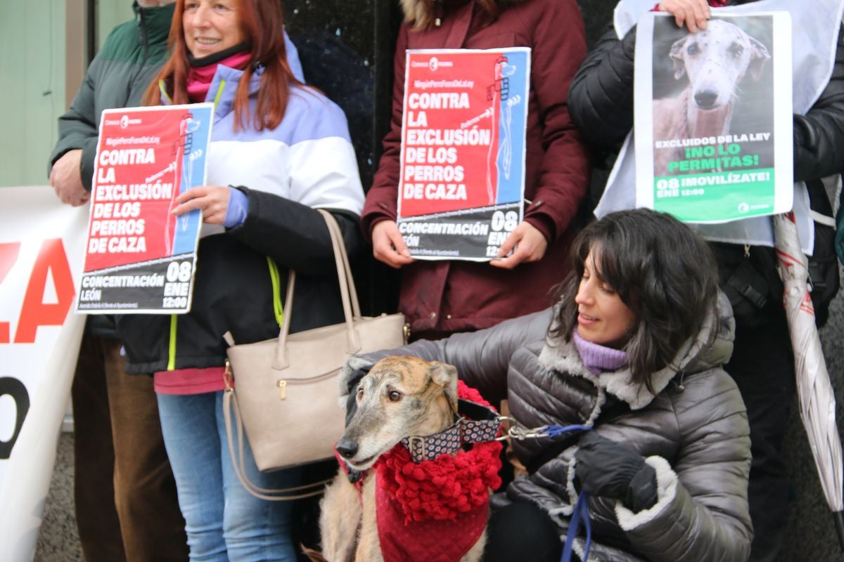 Pacma León se ha concentrado este domingo frente a las puertas del Ayuntamiento de León para exigir al Gobierno un cambio en la ley de protección animal.