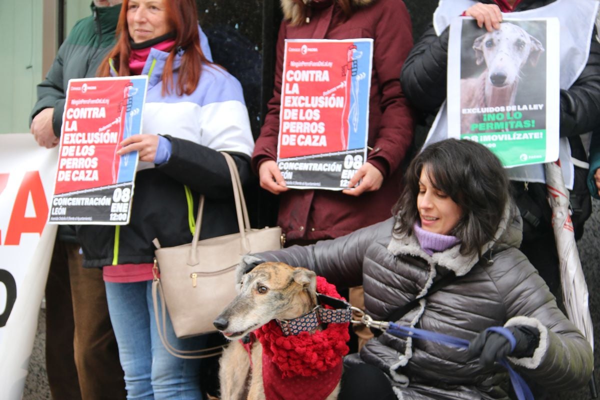 Pacma León se ha concentrado este domingo frente a las puertas del Ayuntamiento de León para exigir al Gobierno un cambio en la ley de protección animal.