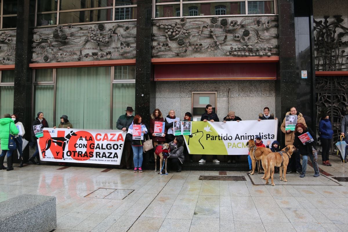 Pacma León se ha concentrado este domingo frente a las puertas del Ayuntamiento de León para exigir al Gobierno un cambio en la ley de protección animal.