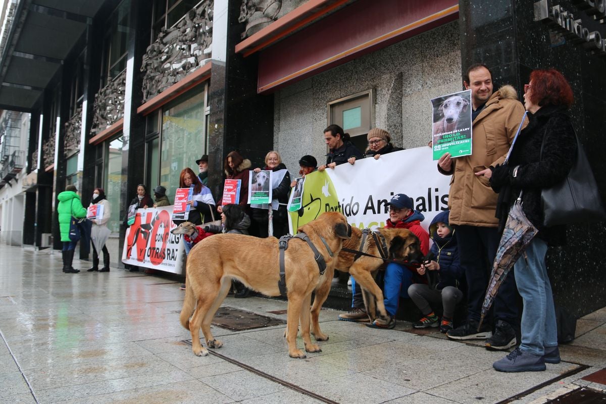 Pacma León se ha concentrado este domingo frente a las puertas del Ayuntamiento de León para exigir al Gobierno un cambio en la ley de protección animal.