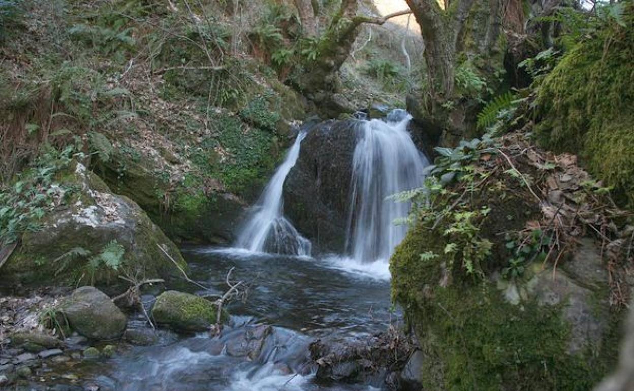 Conceyu País Llionés considera «innecesario» y «negativo» el proyecto en el río Cabrera.