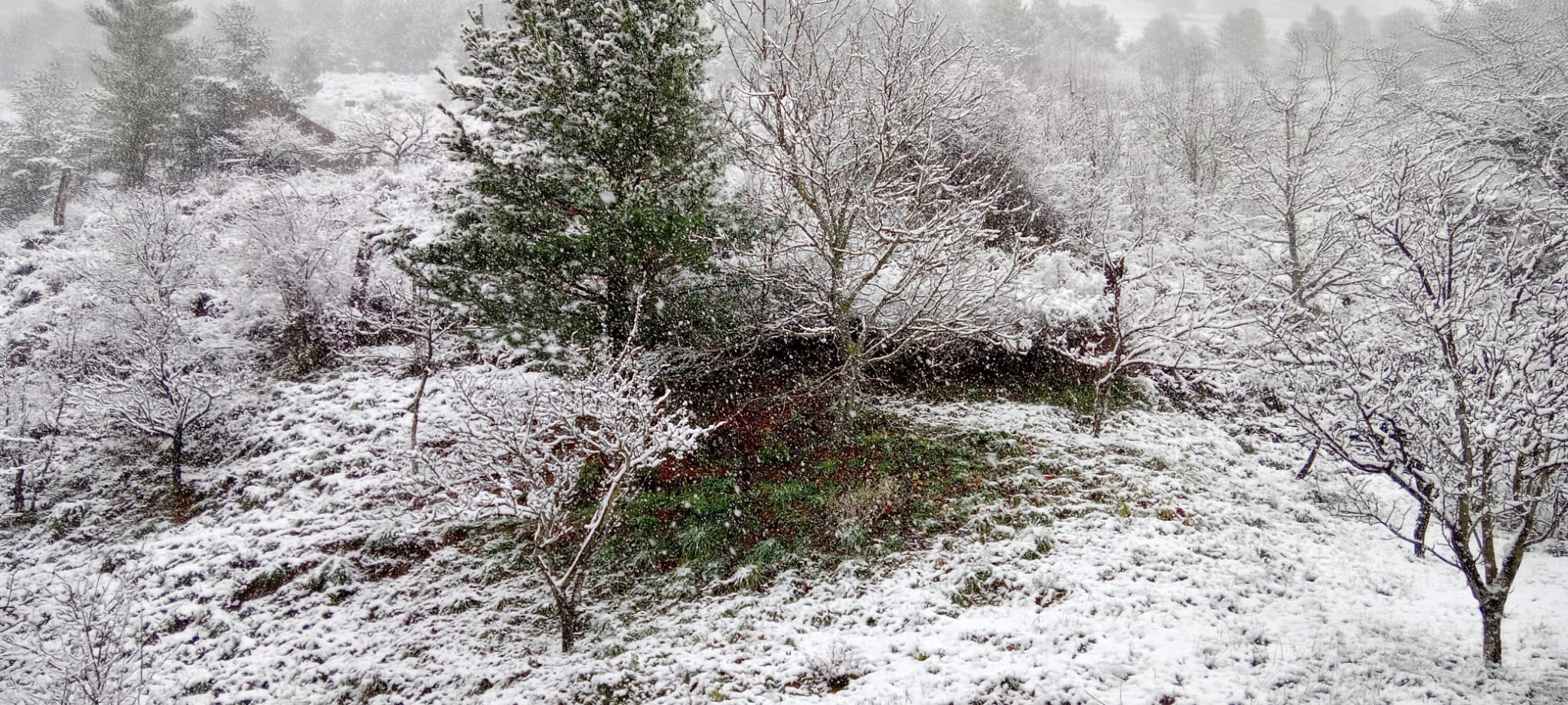 La nieve ya tiñe de blanco decenas de pueblos en la provincia.