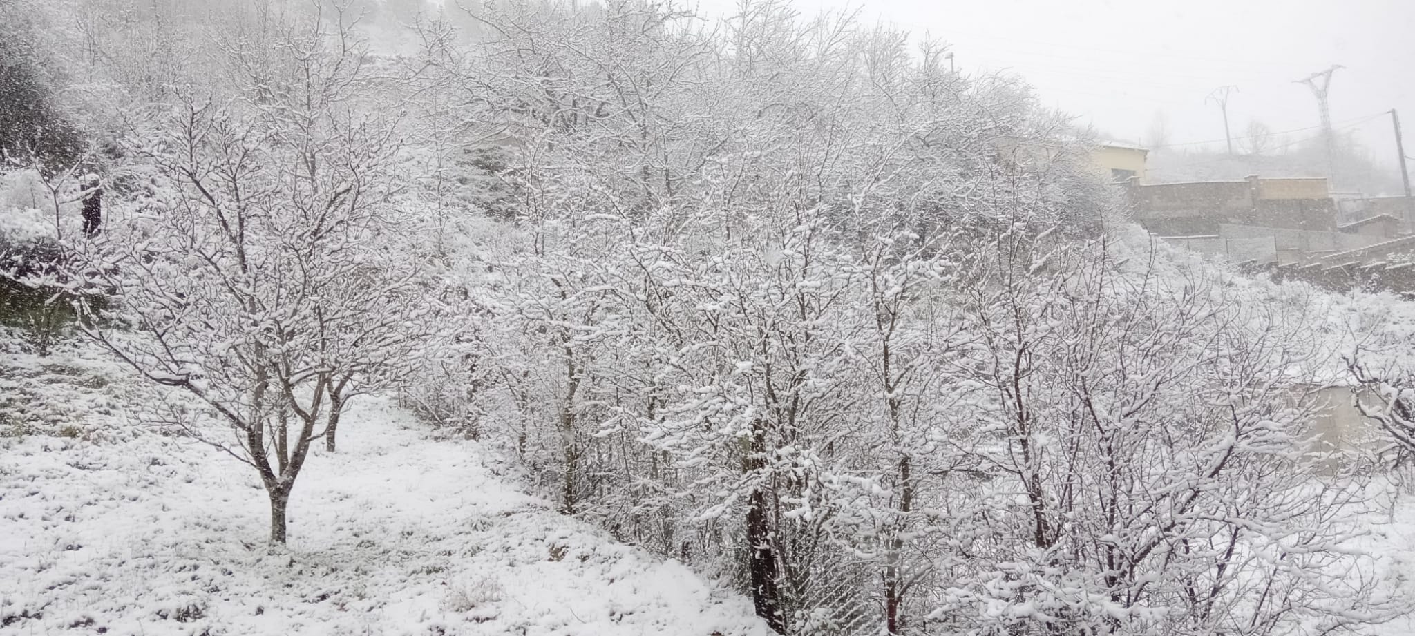 La nieve ya tiñe de blanco decenas de pueblos en la provincia.