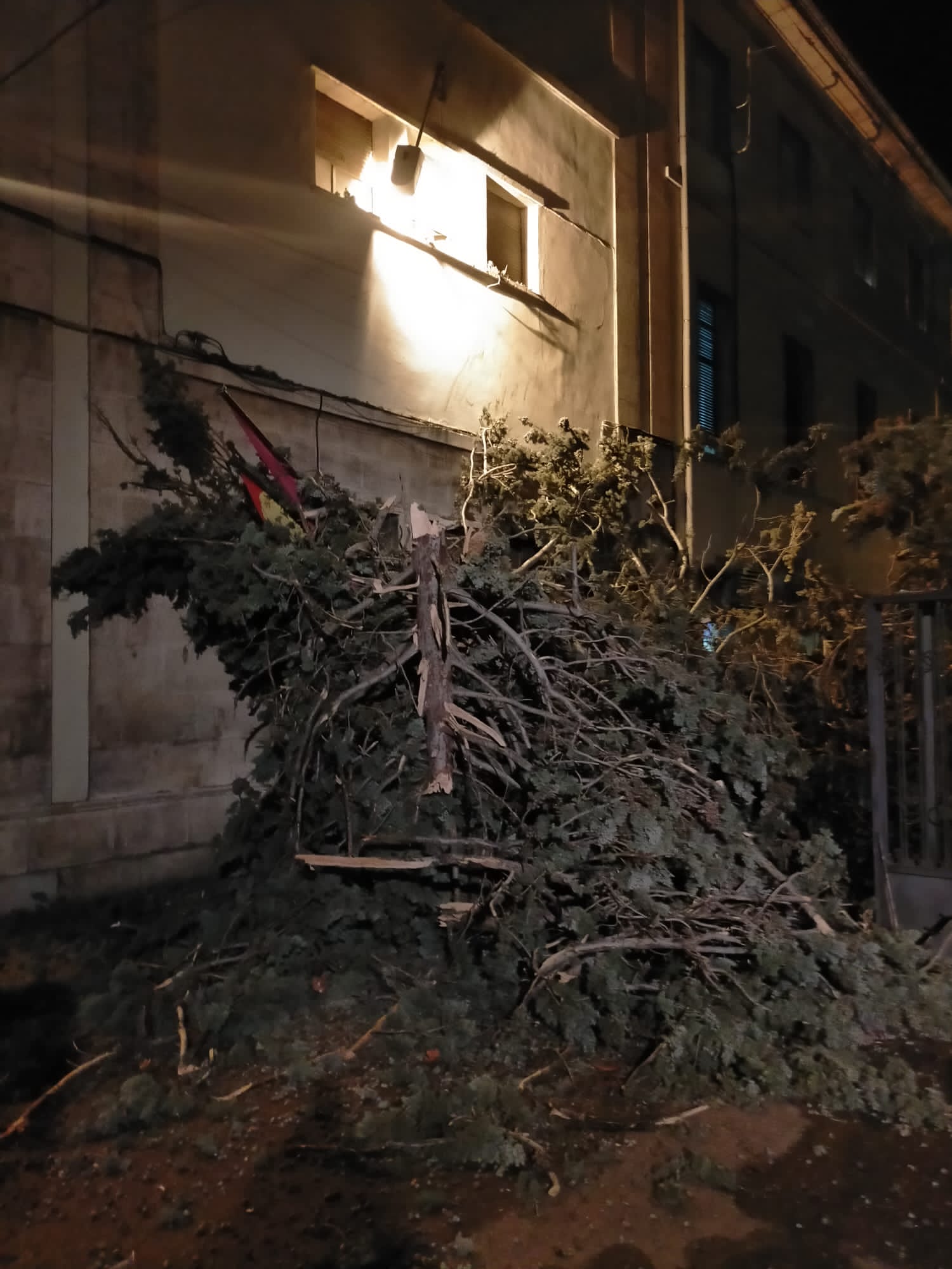 Fotos: Fuertes rachas de viento en León