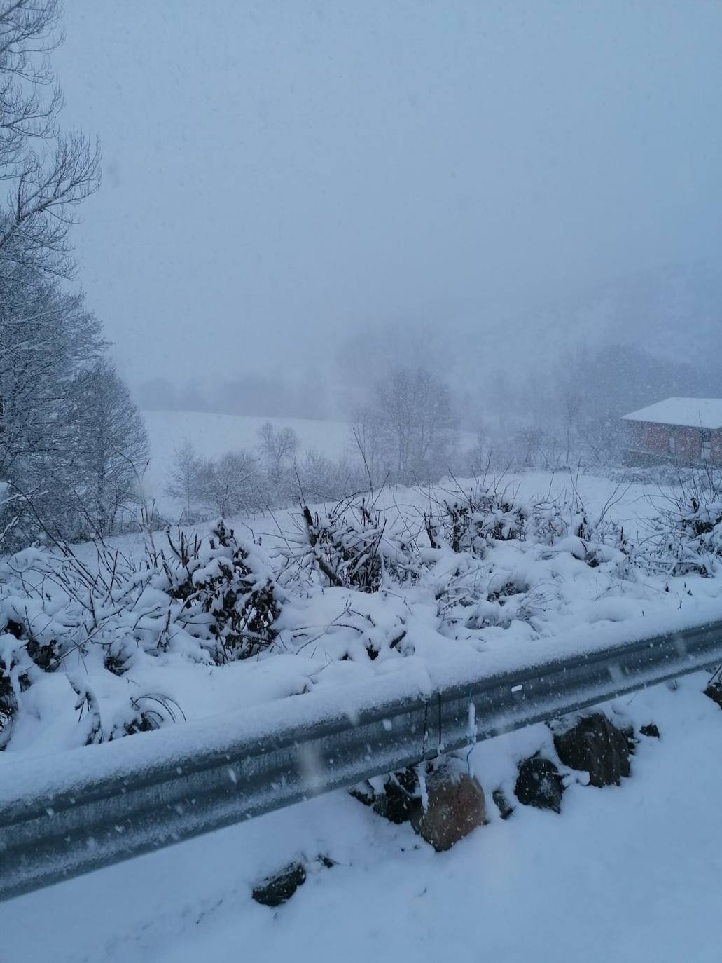 Estampas de nieve en zonas como Cubillas, Lugueros, Villamanín, Villablino, Fontún, Buiza y Villar del Puerto.