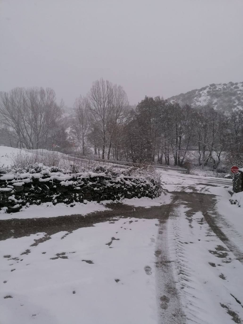 Estampas de nieve en zonas como Cubillas, Lugueros, Villamanín, Villablino, Fontún, Buiza y Villar del Puerto.