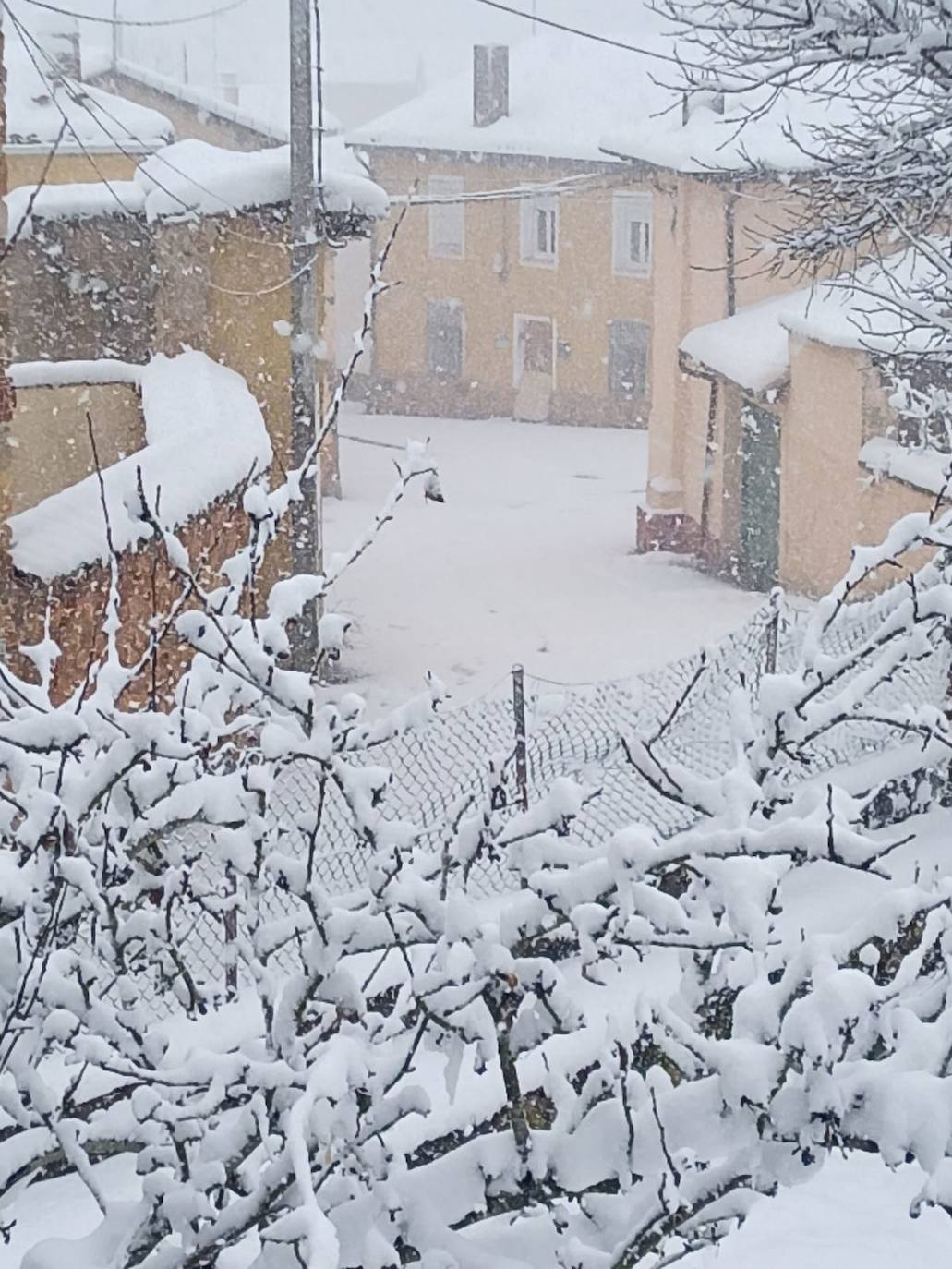 Fotos: La nieve llega a la provincia leonesa