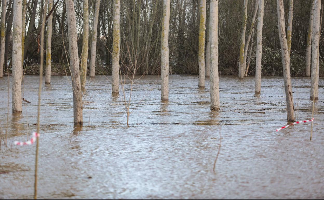 El río Tuerto se desborda a la altura de la localidad leonesa de San Félix de la Vega