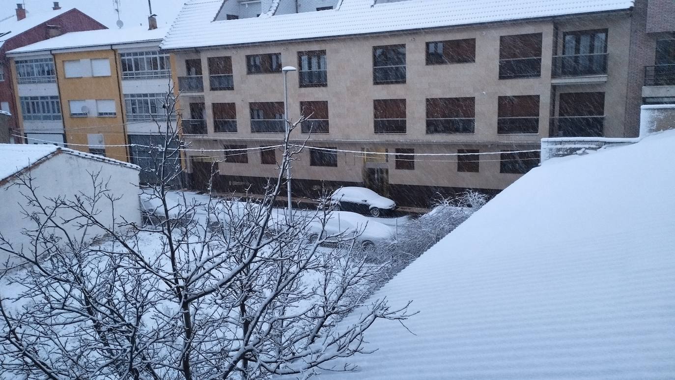 Fotos: Nieve en León