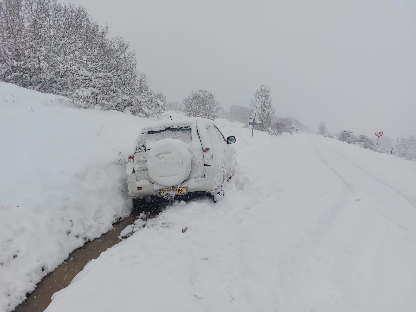 Fotos: La nieve llega a la provincia leonesa