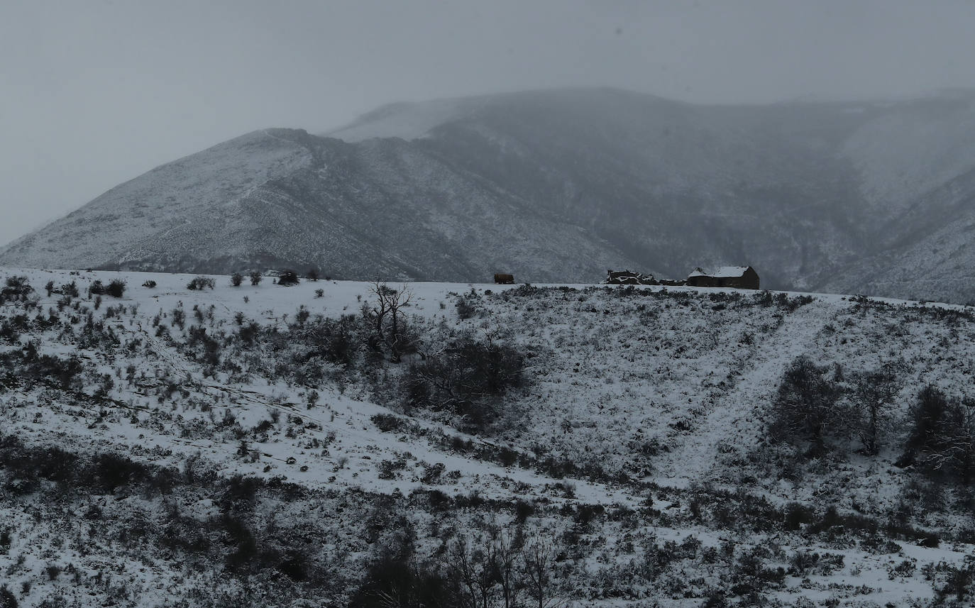 'Fien' comienza a remitir en la provincia pero la montaña se mantiene en fase de preemergencia. La nieve ha alcanzado de lleno a toda la provincia y El Bierzo no ha sido una excepción. 