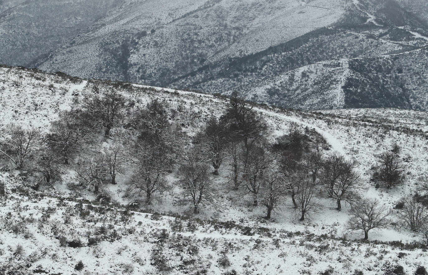 'Fien' comienza a remitir en la provincia pero la montaña se mantiene en fase de preemergencia. La nieve ha alcanzado de lleno a toda la provincia y El Bierzo no ha sido una excepción. 