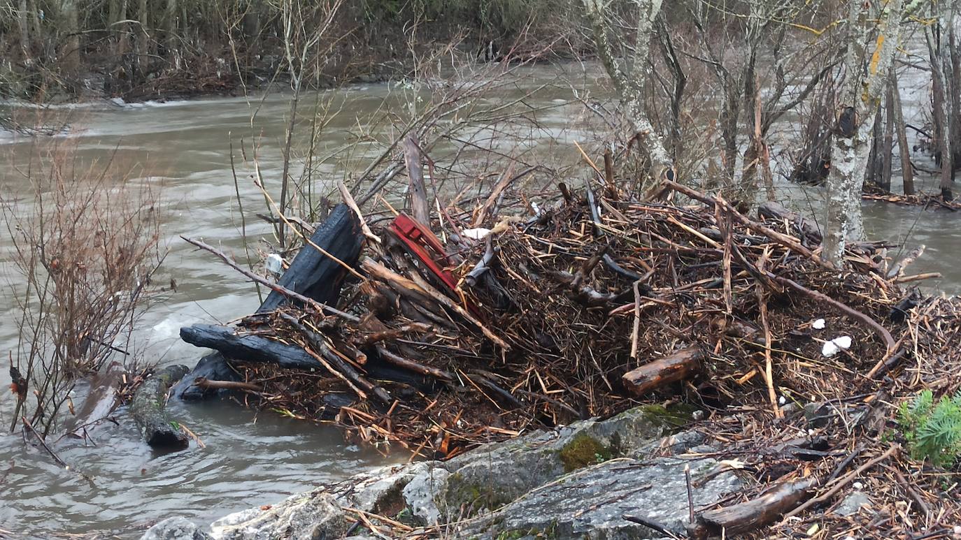  El río Sil a su paso por Ponferrada aumenta su caudal debido a las precipitaciones de los últimos días.