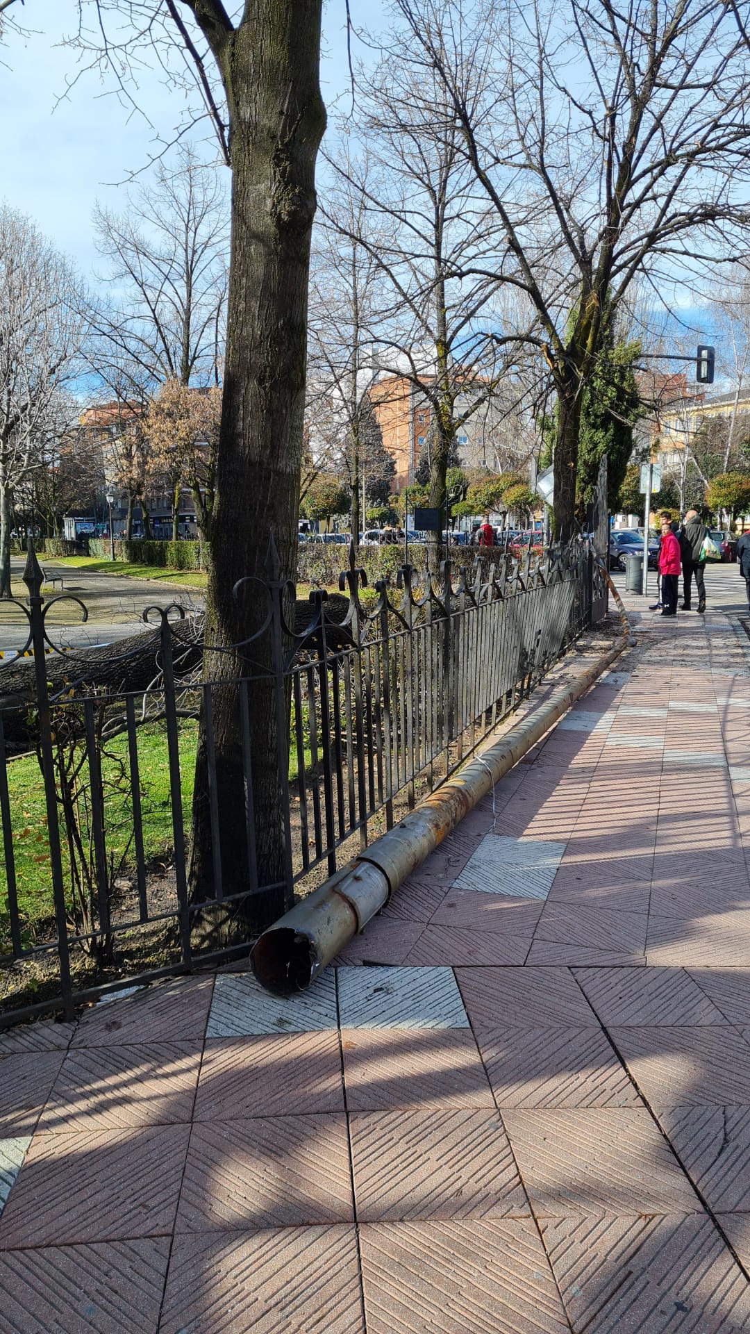 La zona permanece acordonada a la espera de saber qué ha ocurrido con este ejemplar.
