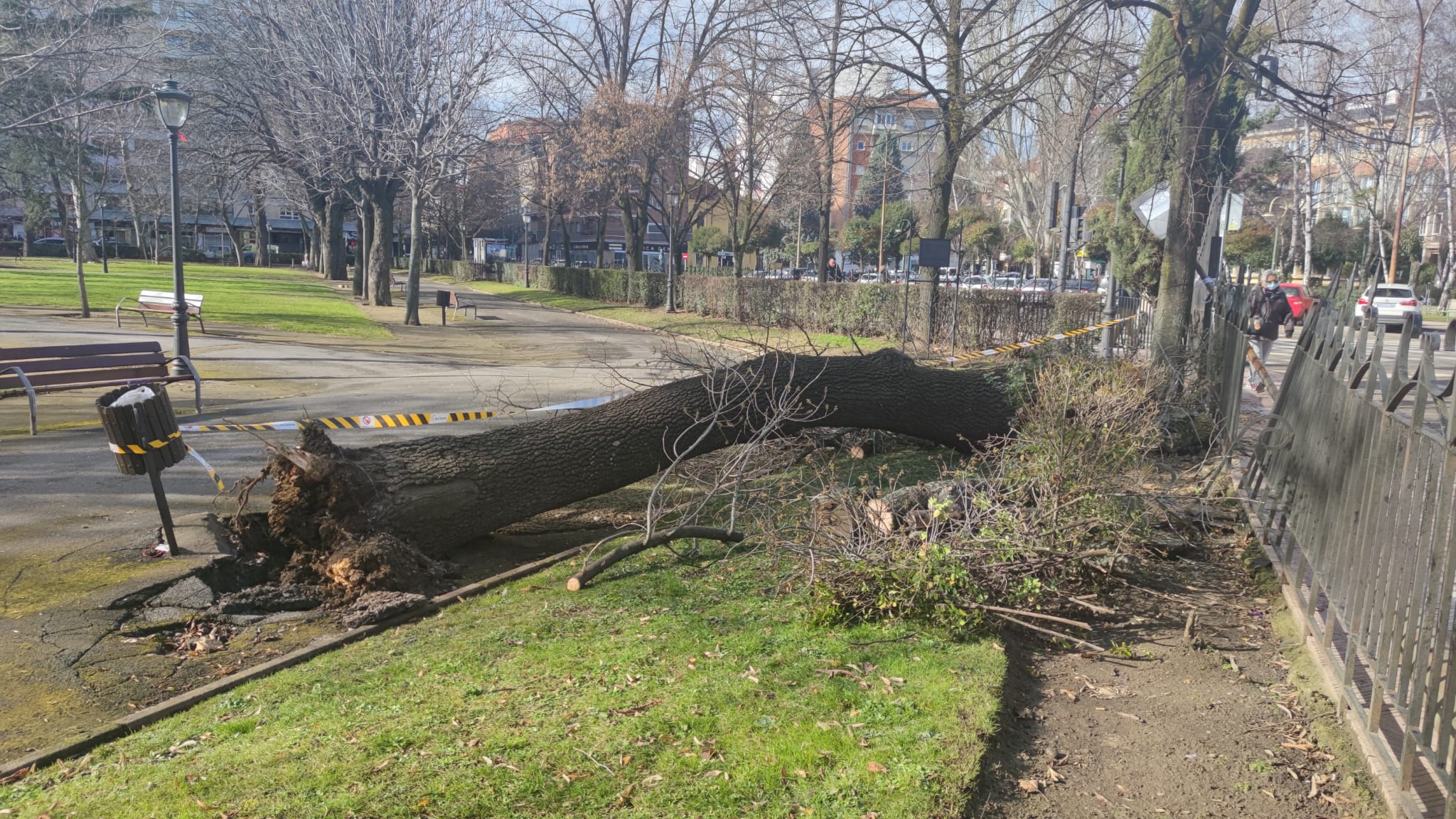 La zona permanece acordonada a la espera de saber qué ha ocurrido con este ejemplar.