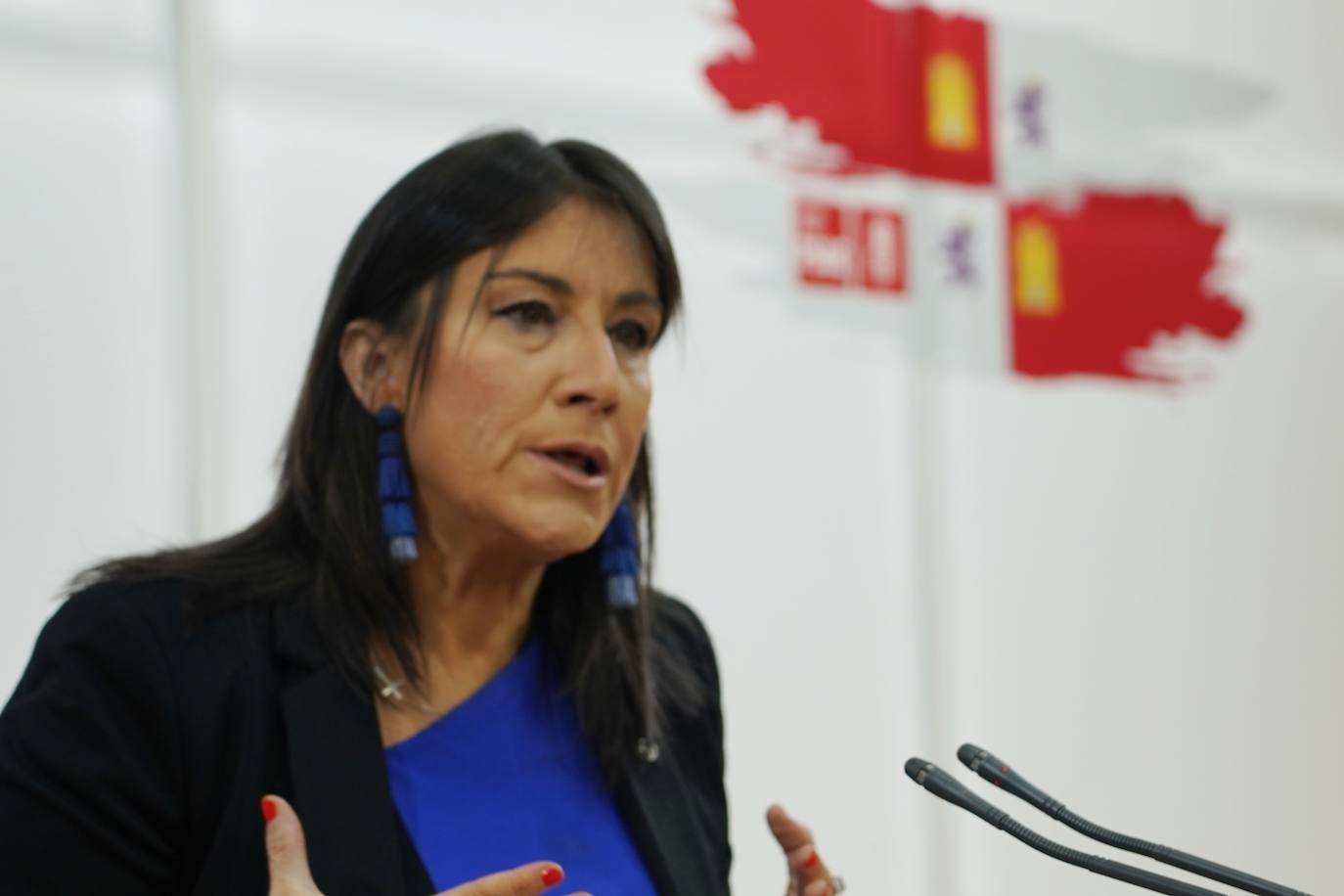 La secretaria de Organización del PSCyL, Ana Sánchez, comparece ante la prensa para analizar cuestiones de actualidad política de la Comunidad.