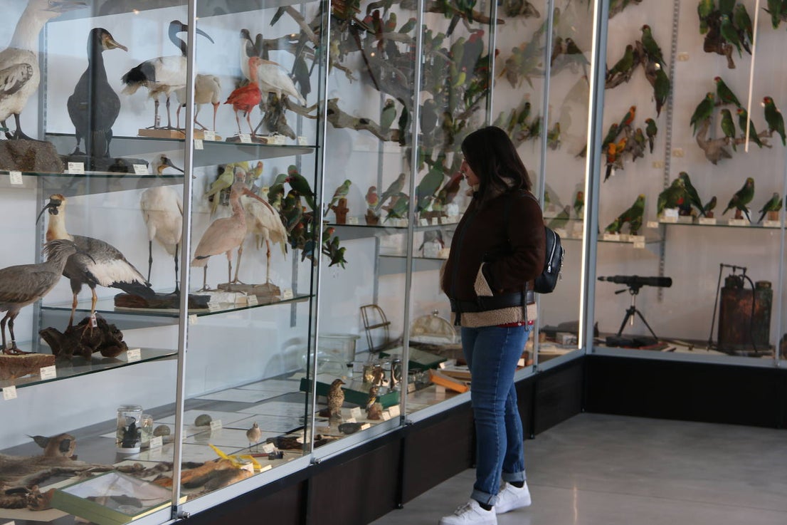 Fotos: León descubre su colección animal en el MULE | leonoticias.com