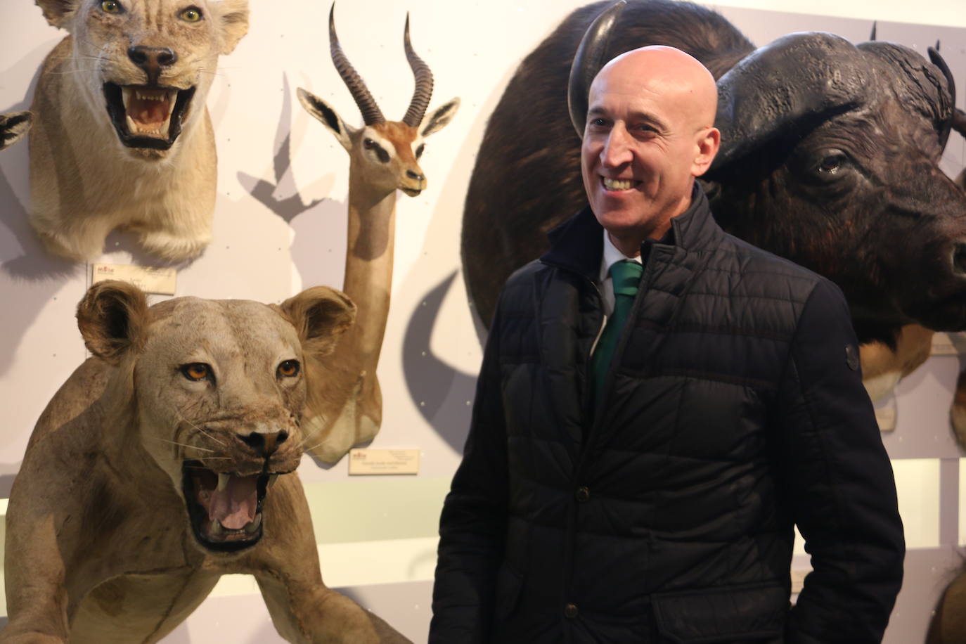 El Museo de Colecciones de la Universidad abre sus puertas a la sociedad leonesa | Ocho salas muestran parte de la colección de mamíferos, antrópodos, aves y mariposas que componen la mayor muestra de España con más de 2.500 aves de todo el mundo y 25.000 especies de mariposas | La colección biológica se amplía con una muestra patrimonial con más de mil objetos de investigación del siglo XIX.