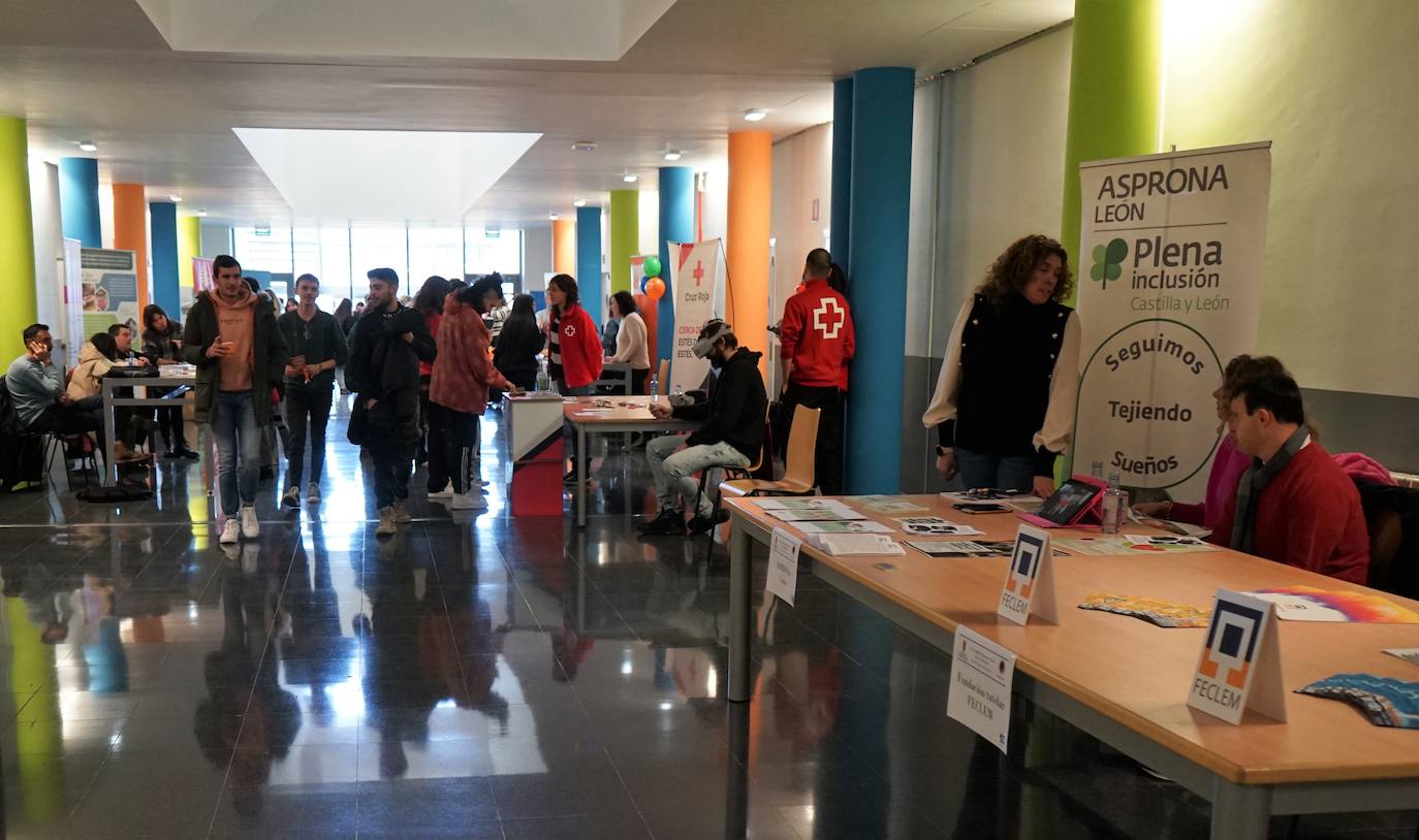 La Facultad de Educación celebró este pasado miércoles la III edición de las Jornadas de Educación Social donde profesionales y educadores coincidieron en la necesidad de incluir la figura del Coordinador de Bienestar en los centros educativos.