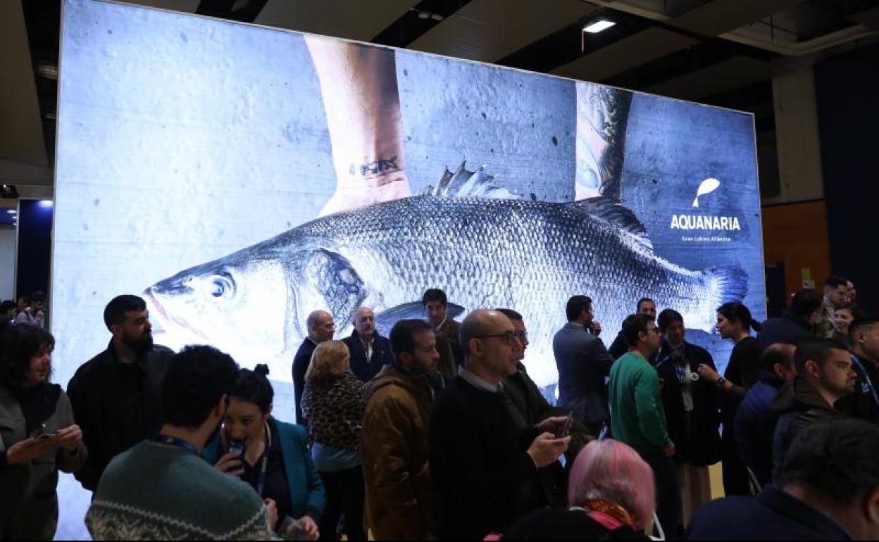 Madrid Fusión bate récords con más de 21.000 visitantes