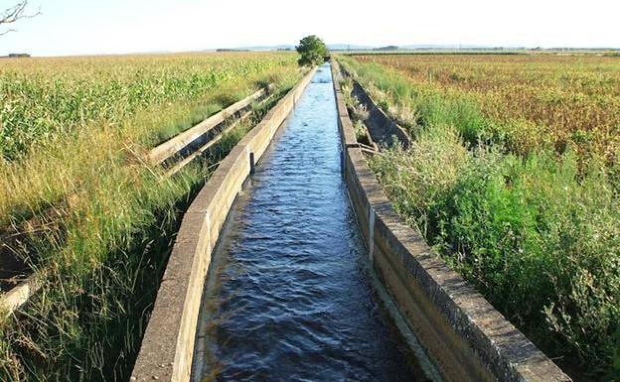 Asaja valora que la Junta se interese por la zona regable de La Valduerna