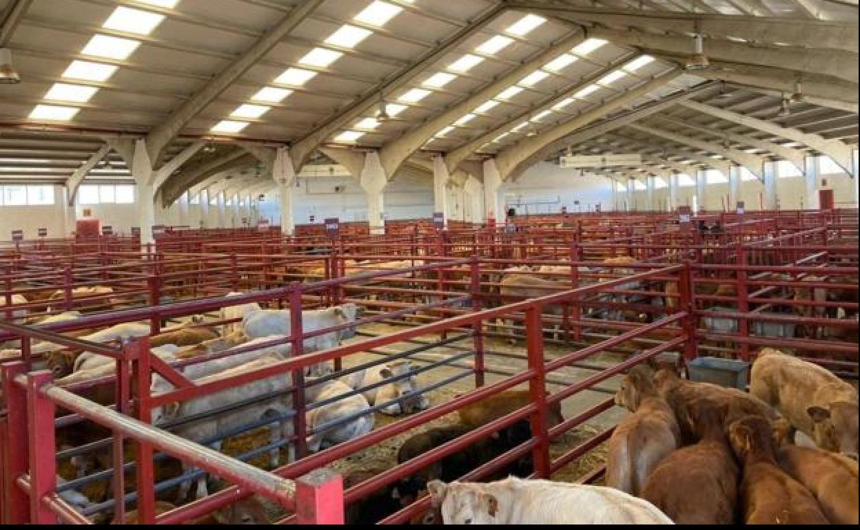 Feria agropecuaria en León.