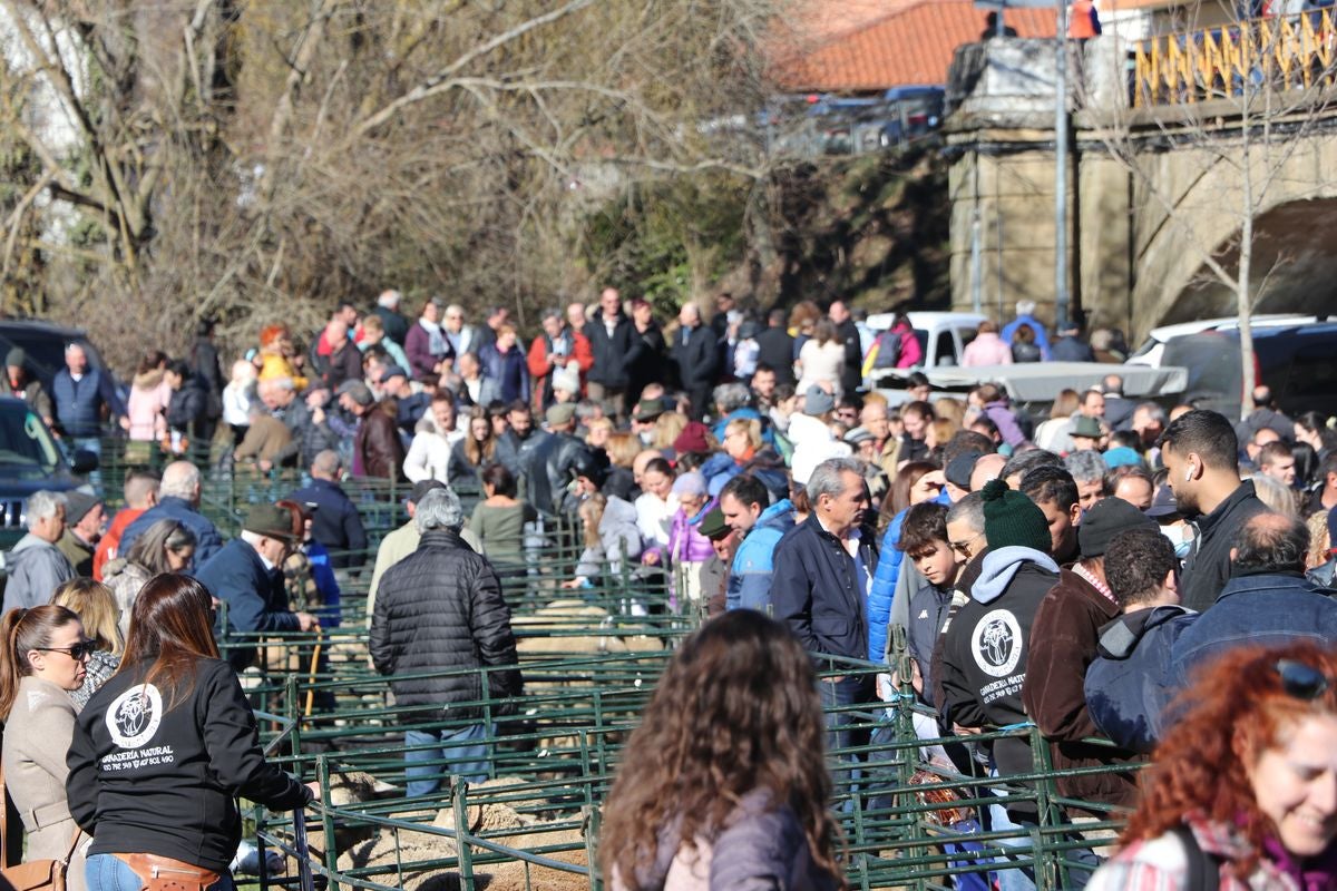 Gradefes ha celebrado este domingo su Feria de San Blas con un éxito rotundo de afluencia.