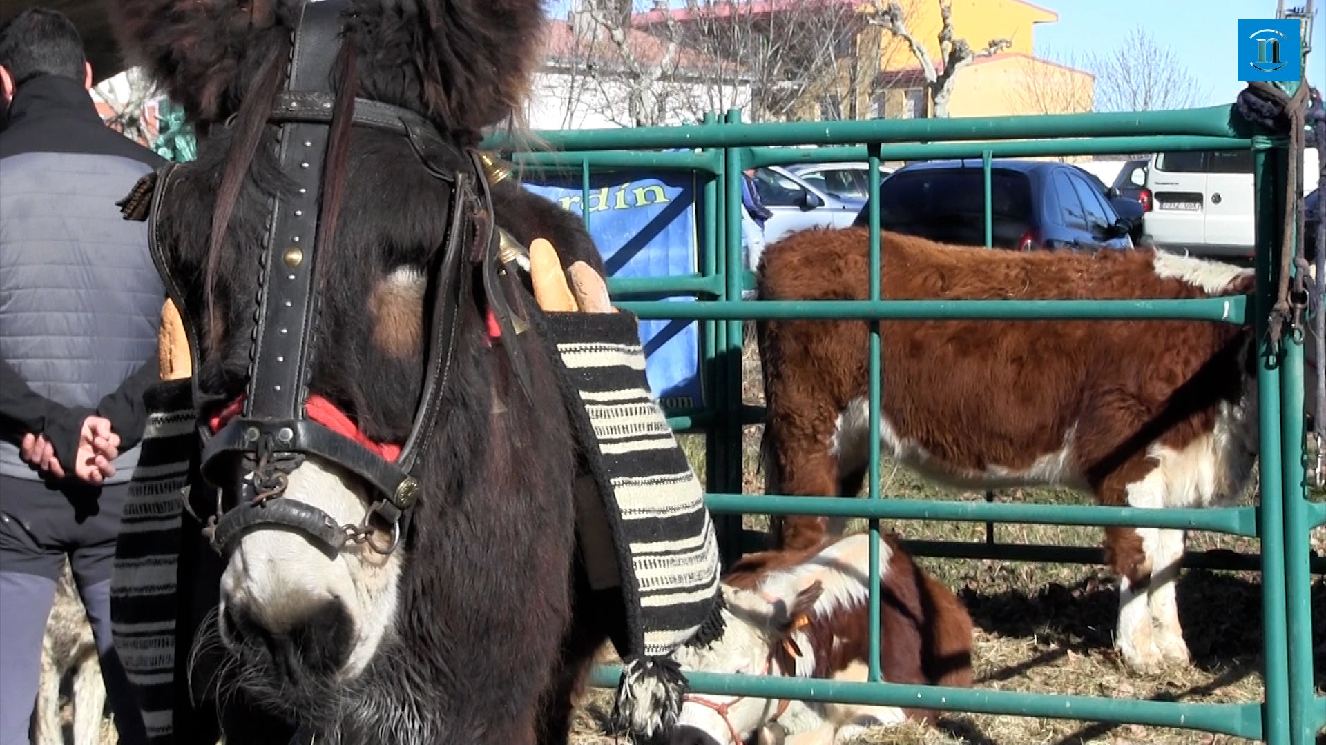 San Blas devuelve el esplendor a Gradefes