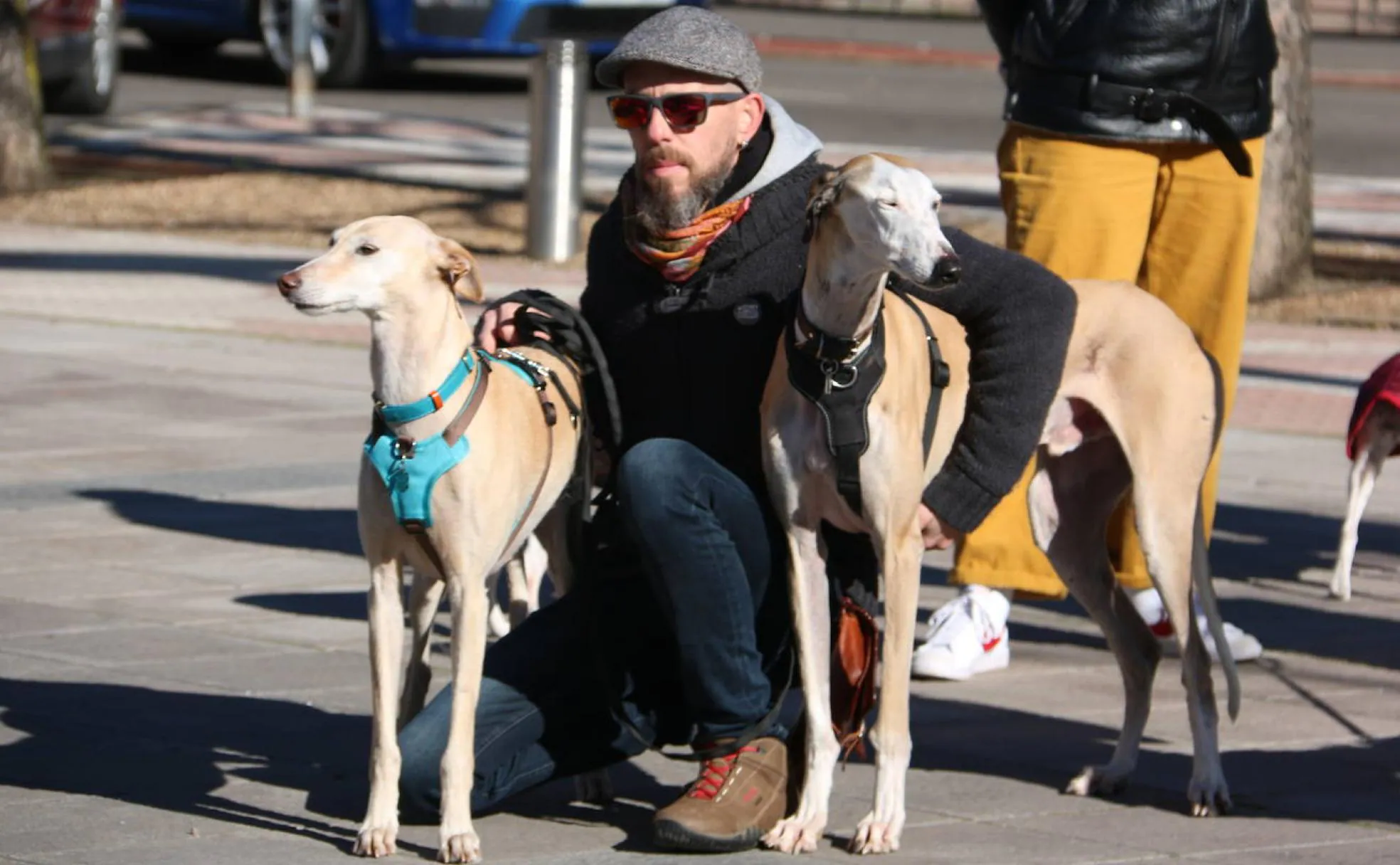 La plataforma No a la Caza se manifiesta en León para exigir la protección de los galgos y demás perros de caza.