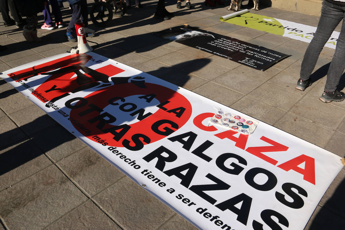 La Plataforma No a la Caza convoca en León una manifestación para exigir al Gobierno que modifique la Ley de Protección Animal e incluya en ella a perros como los galgos | EL 28 de febrero termina la temporada de caza con galgos y las asociaciones temen un «abandono masivo y asesinato» de estos animales.