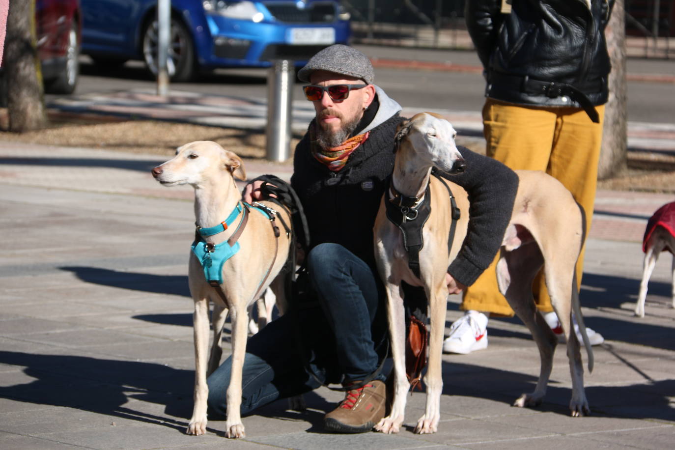 La Plataforma No a la Caza convoca en León una manifestación para exigir al Gobierno que modifique la Ley de Protección Animal e incluya en ella a perros como los galgos | EL 28 de febrero termina la temporada de caza con galgos y las asociaciones temen un «abandono masivo y asesinato» de estos animales.