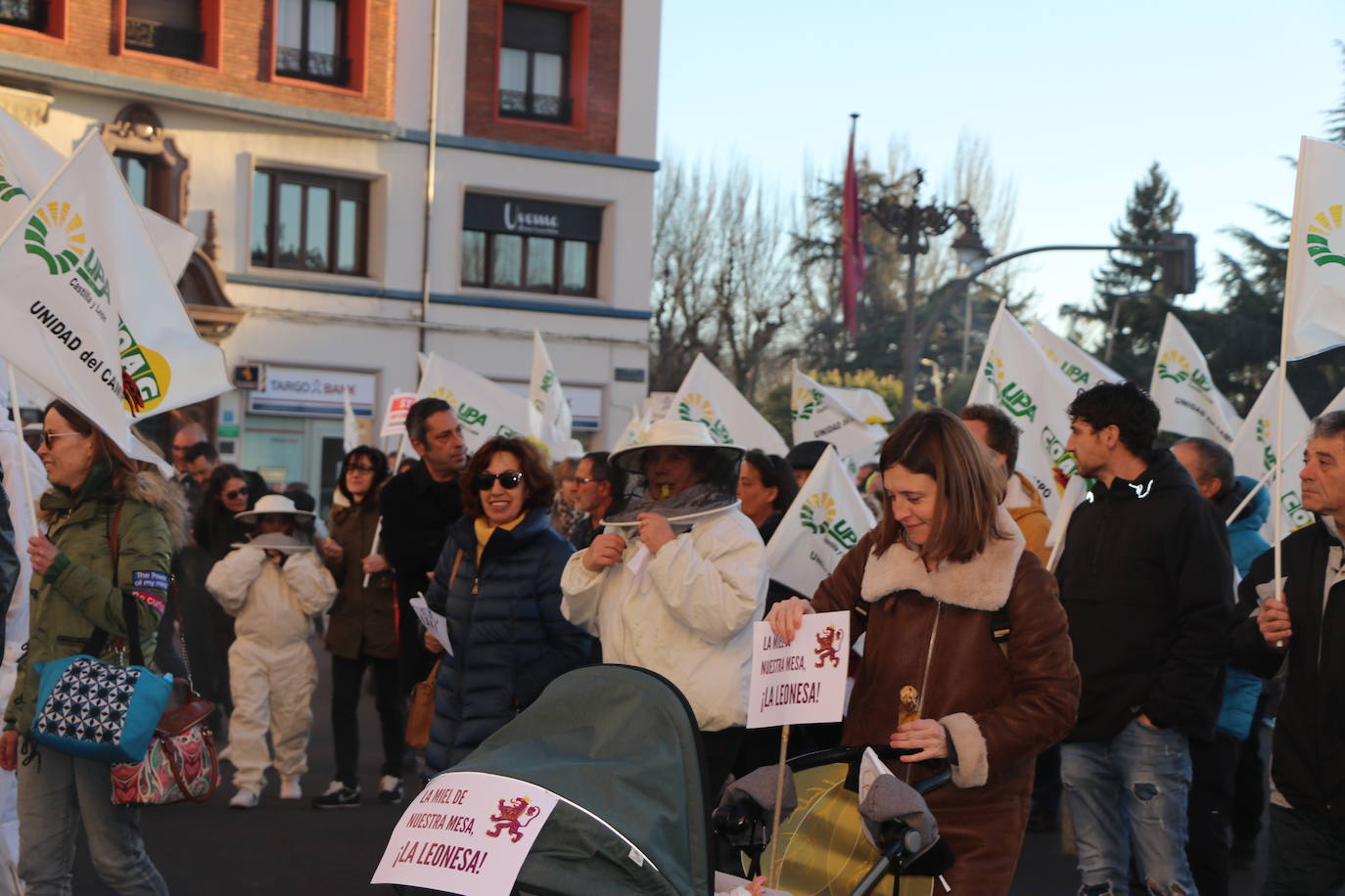 Organizaciones profesionales convocan una manifestación en León por una apicultura sostenible y rentable