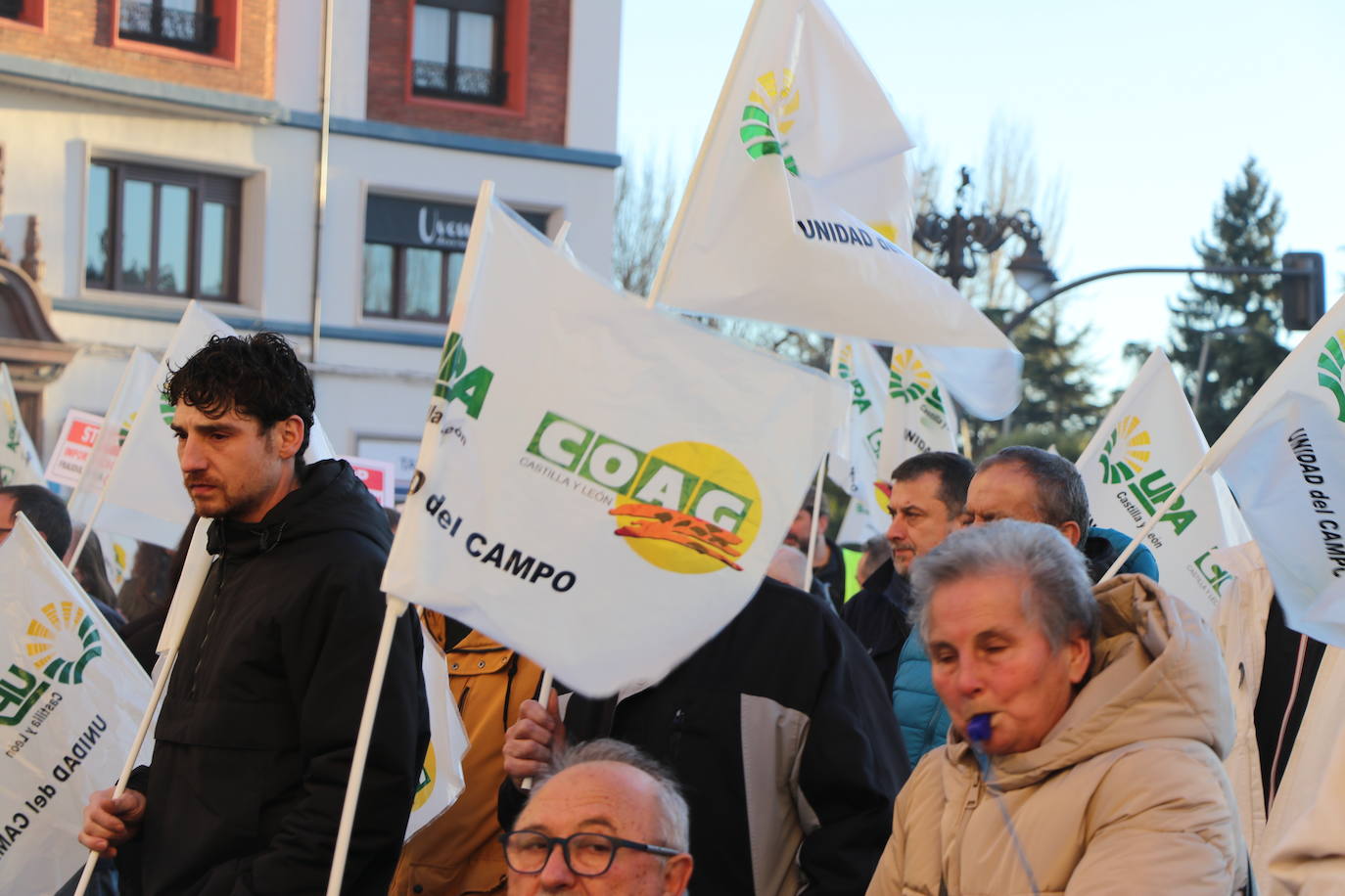 Organizaciones profesionales convocan una manifestación en León por una apicultura sostenible y rentable