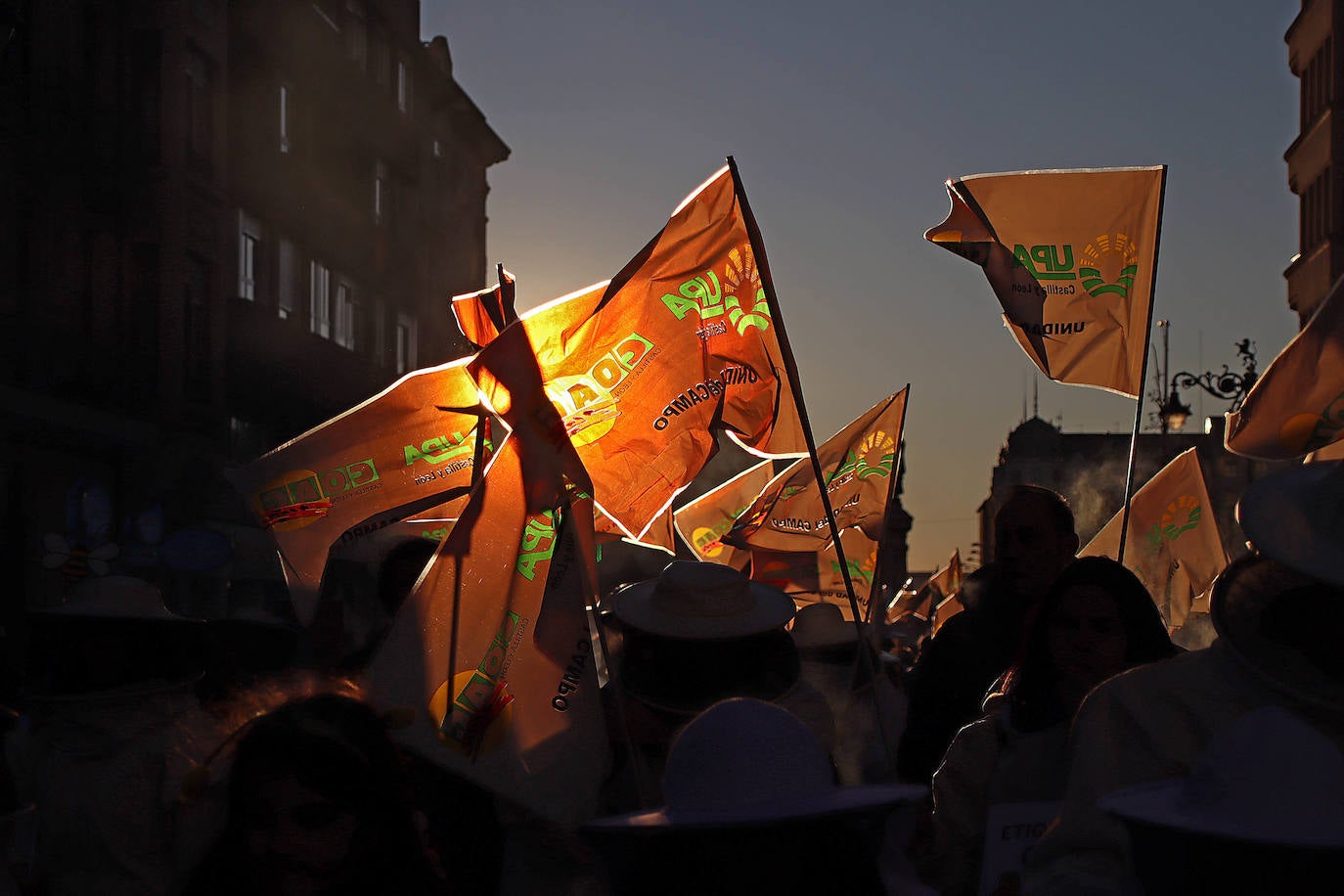 Organizaciones profesionales convocan una manifestación en León por una apicultura sostenible y rentable