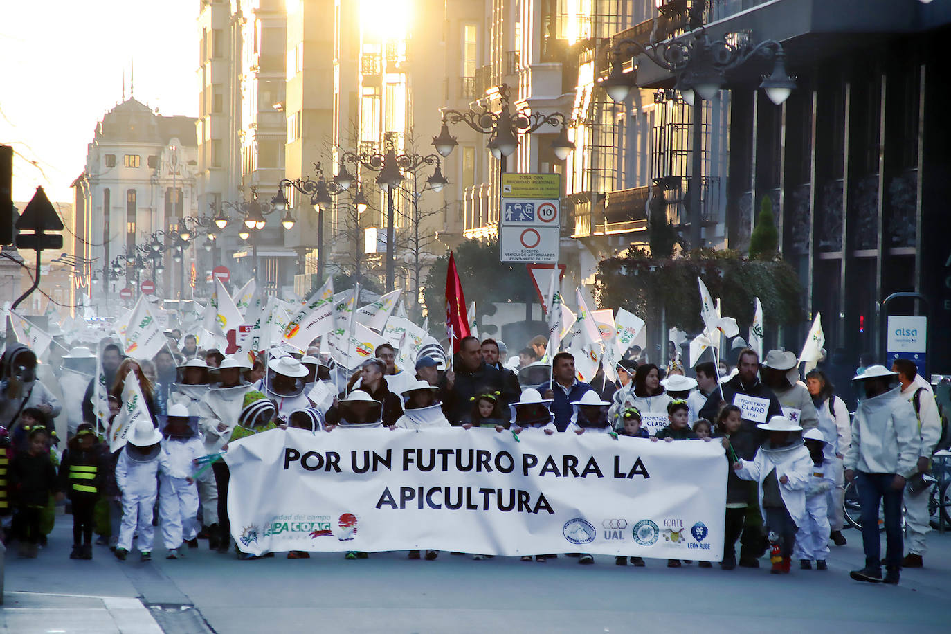 Organizaciones profesionales convocan una manifestación en León por una apicultura sostenible y rentable