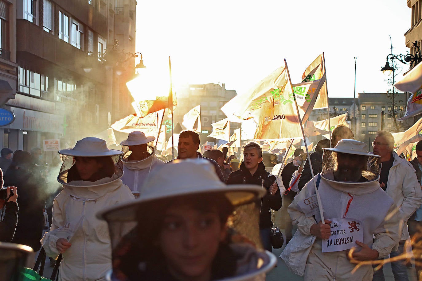 Organizaciones profesionales convocan una manifestación en León por una apicultura sostenible y rentable