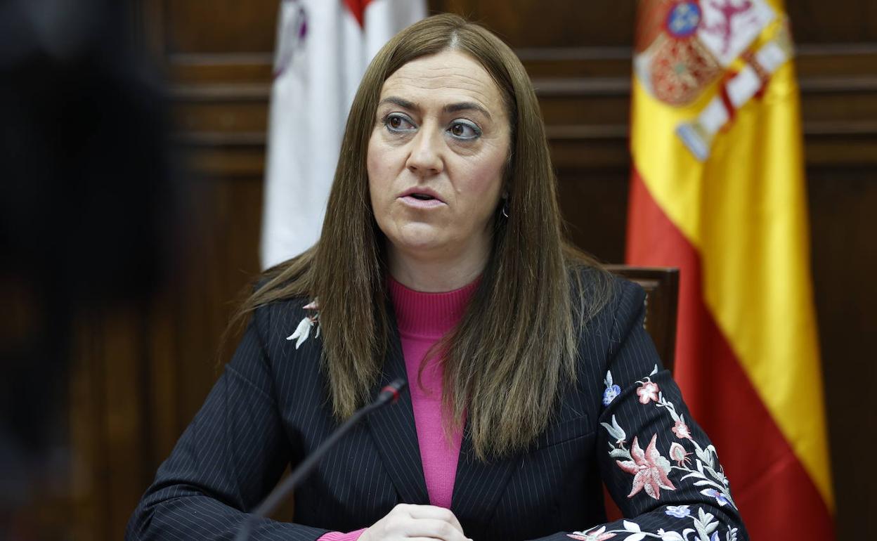 La delegada del Gobierno en Castilla y León, Virginia Barcones.