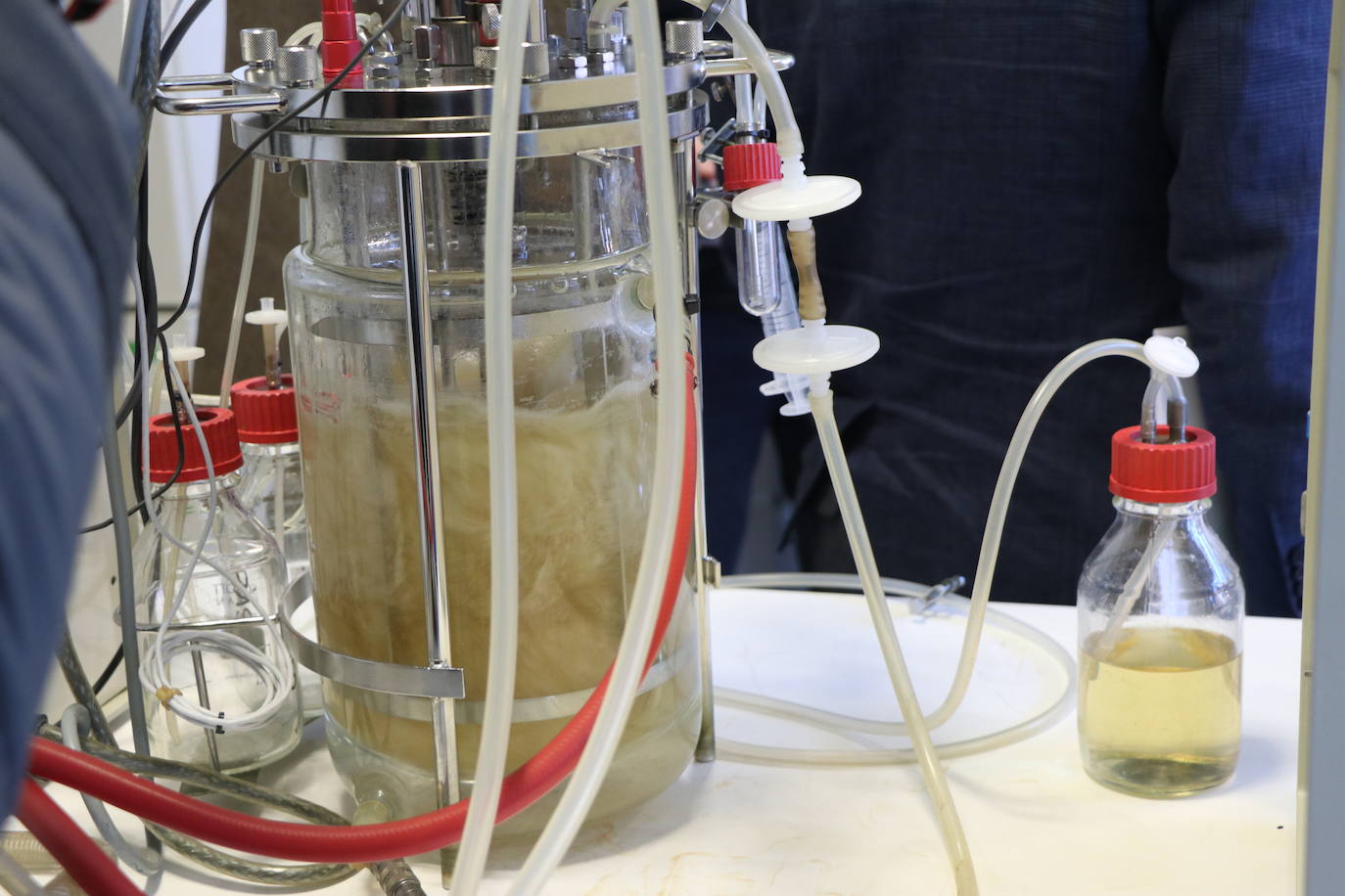 El consejero anuncia la inversión para que el instituto retome su actividad biotecnológica de investigación.