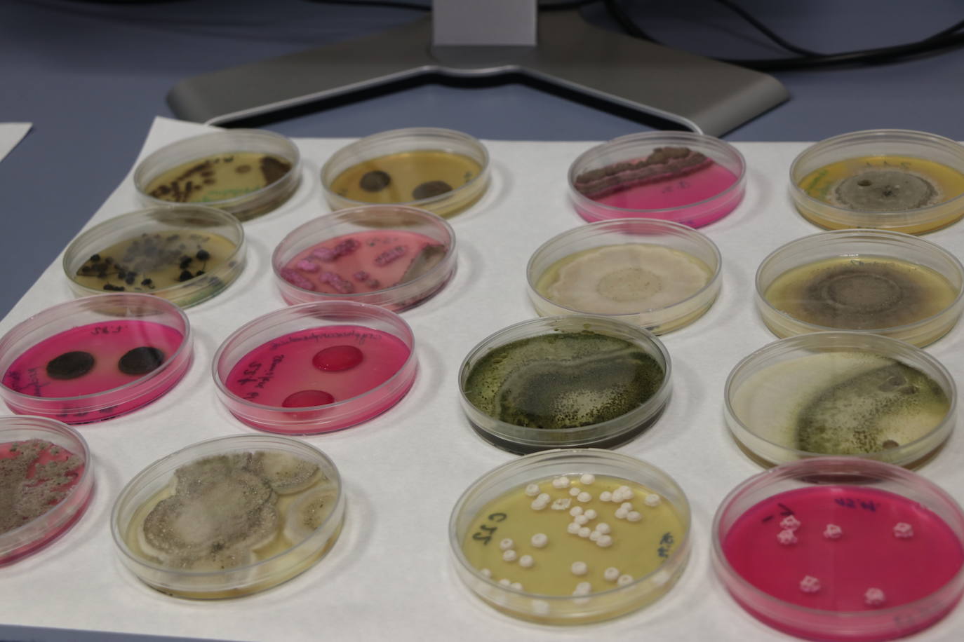El consejero anuncia la inversión para que el instituto retome su actividad biotecnológica de investigación.