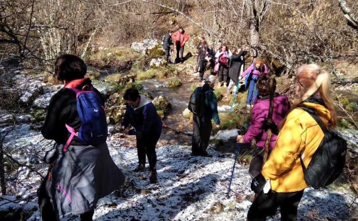 El sur de León se pone en ruta sobre la nieve en el puerto de Vegarada