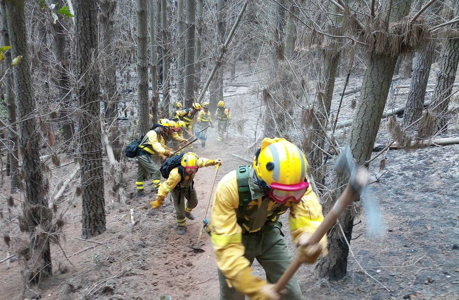 La Brigada de Refuerzo en Incendios Forestales con base en Tabuyo del Monte realiza su primera misión de apoyo internacional en Chile. Colaboración, empeño y sacrificio, sus banderas en esta intervención. 